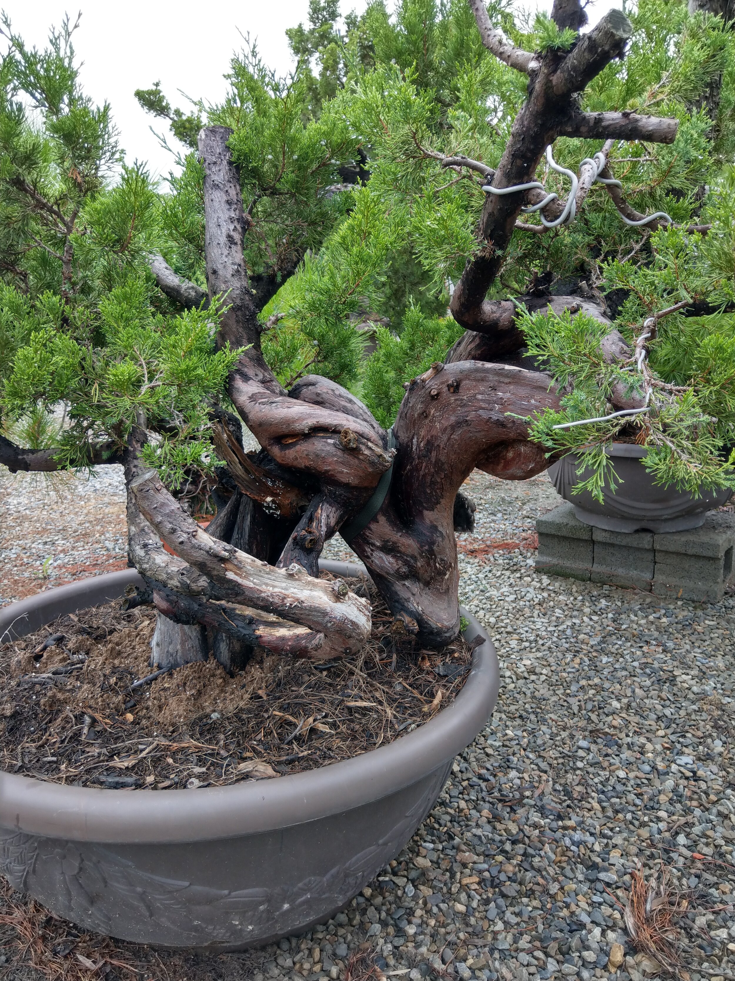 IMAG0916.jpg