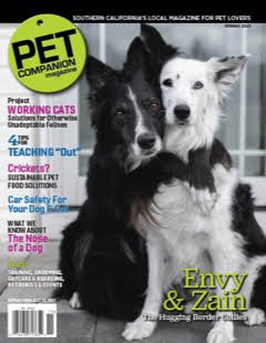 Pet companion magazine(1).jpg