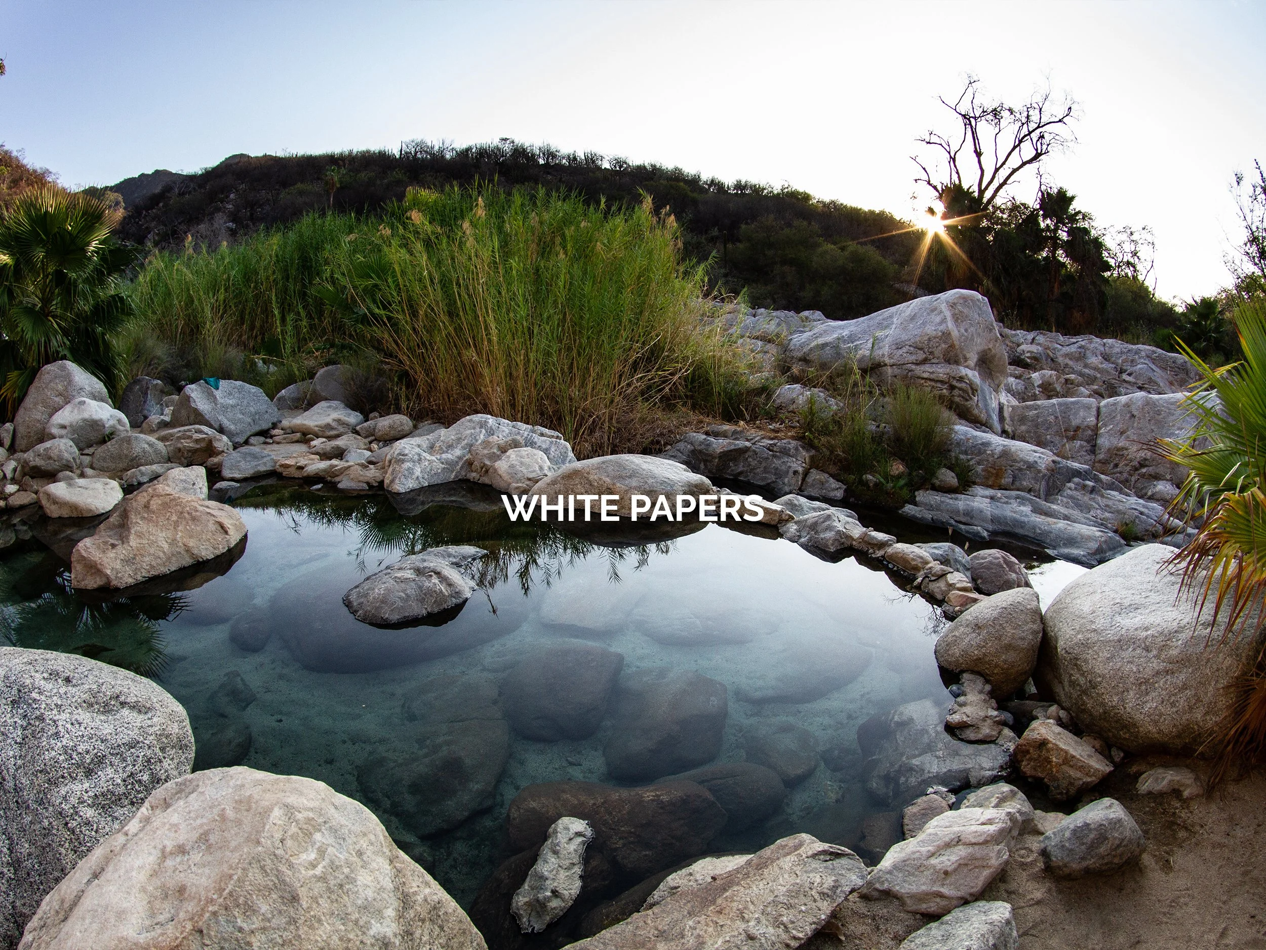 WHITE-PAPERS.jpg