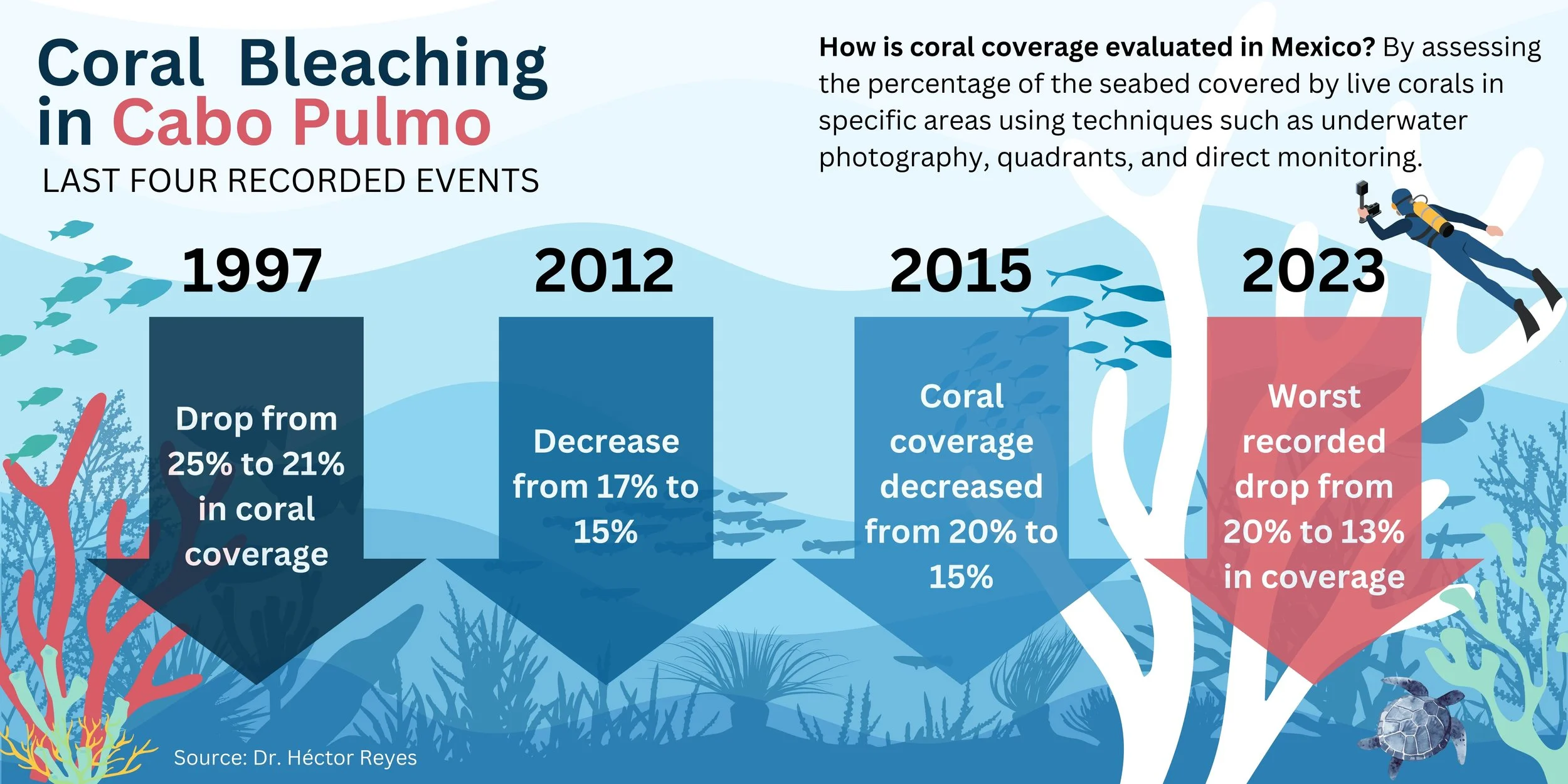 Coral Bleaching Events