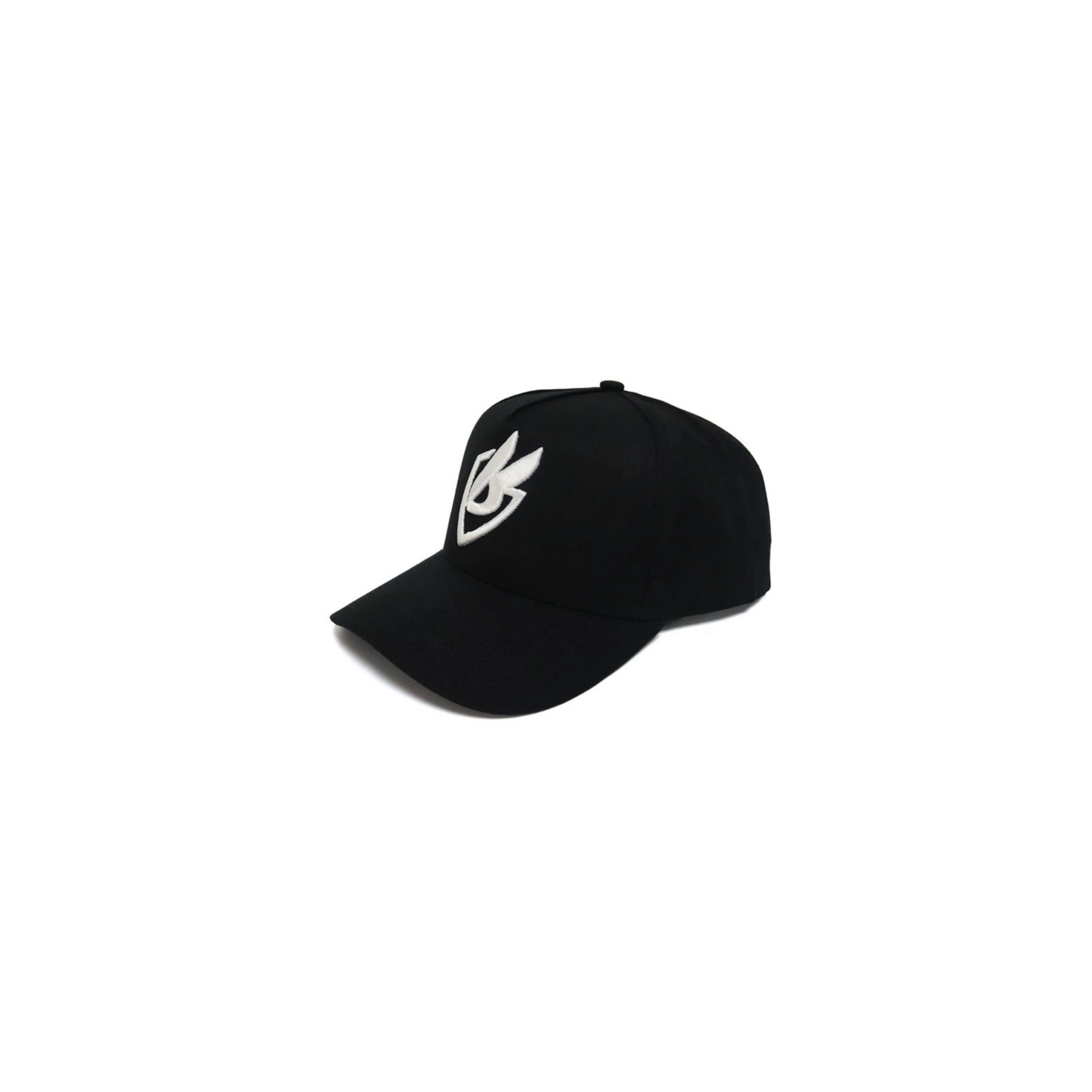 Snapback Hat