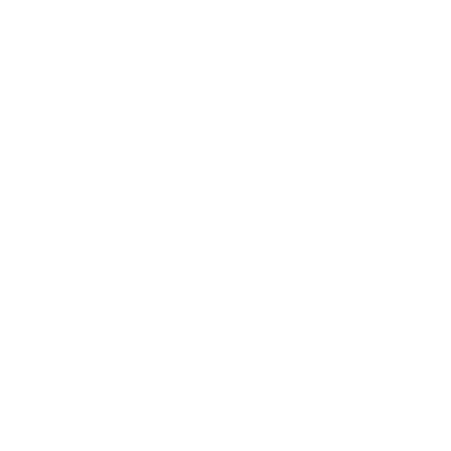 IRONBUNNY