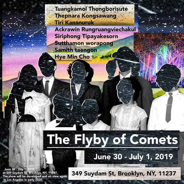 The Flyby of comets