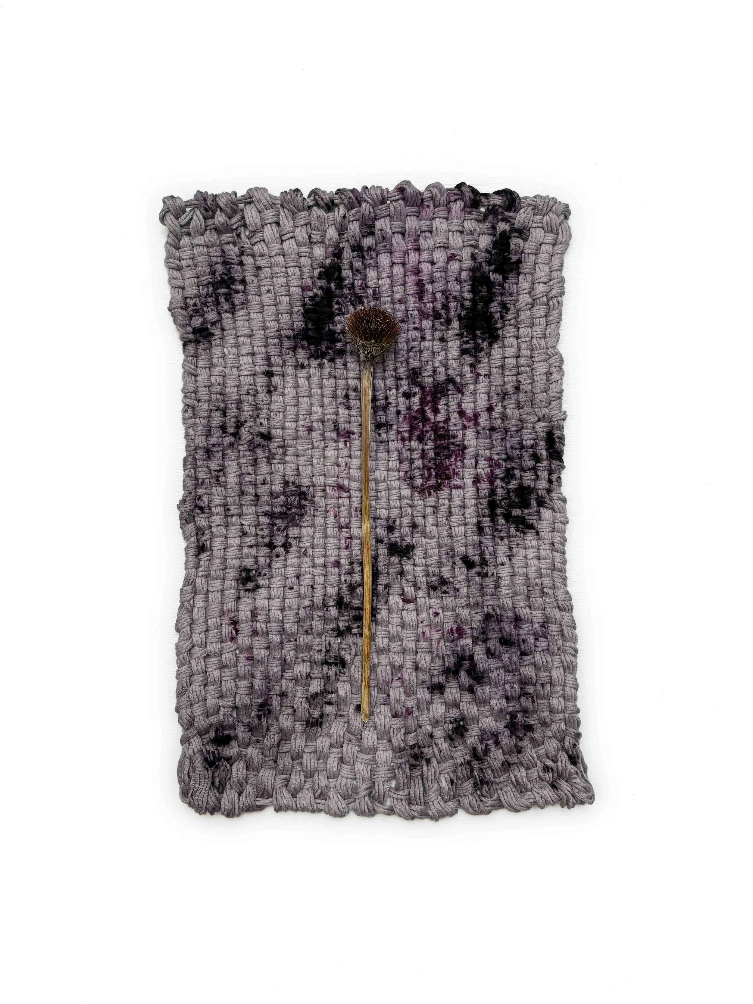 Saved For Web-326 PSD EDIT copy.jpg