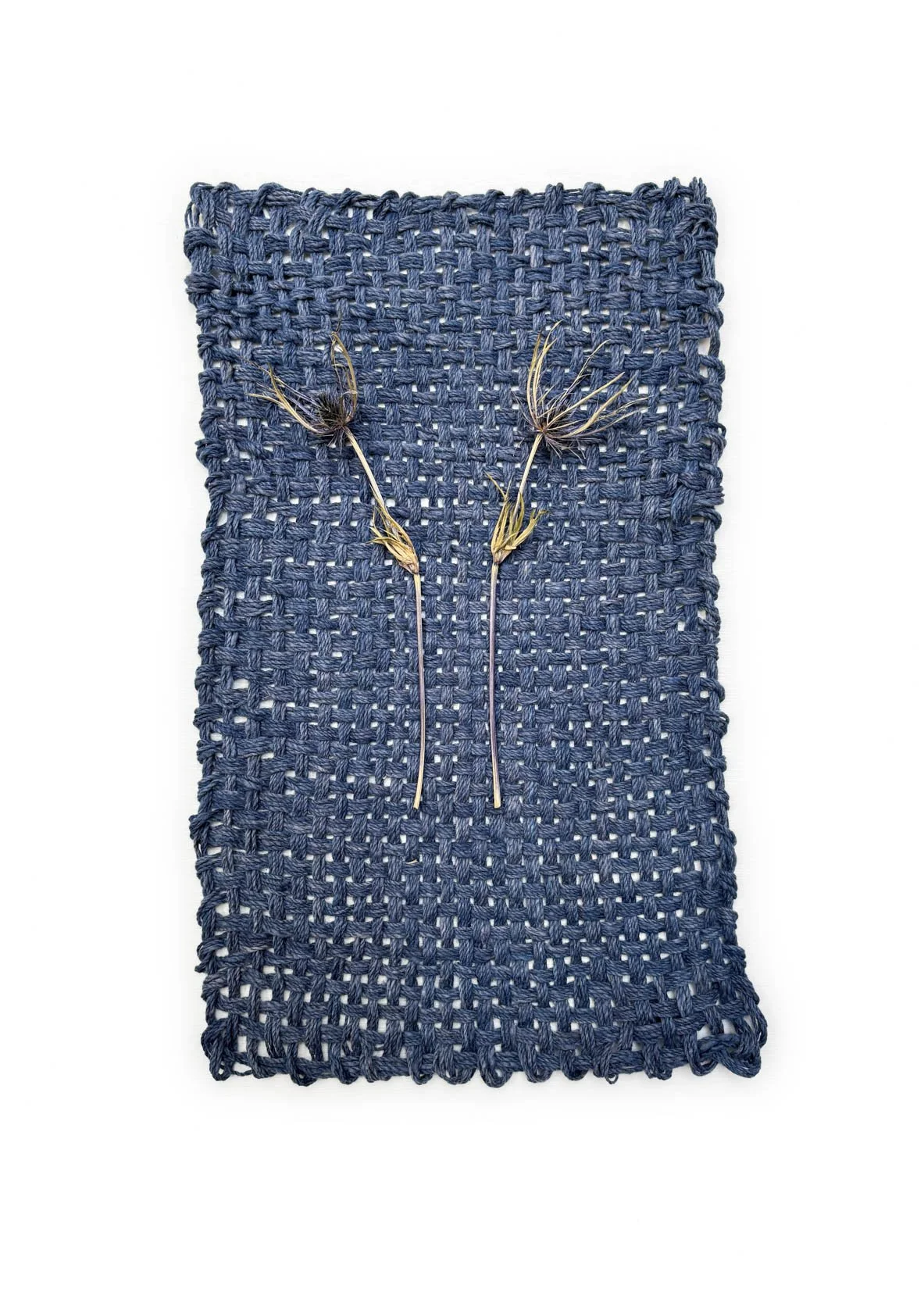 Saved For Web-340 PSD EDIT copy.jpg