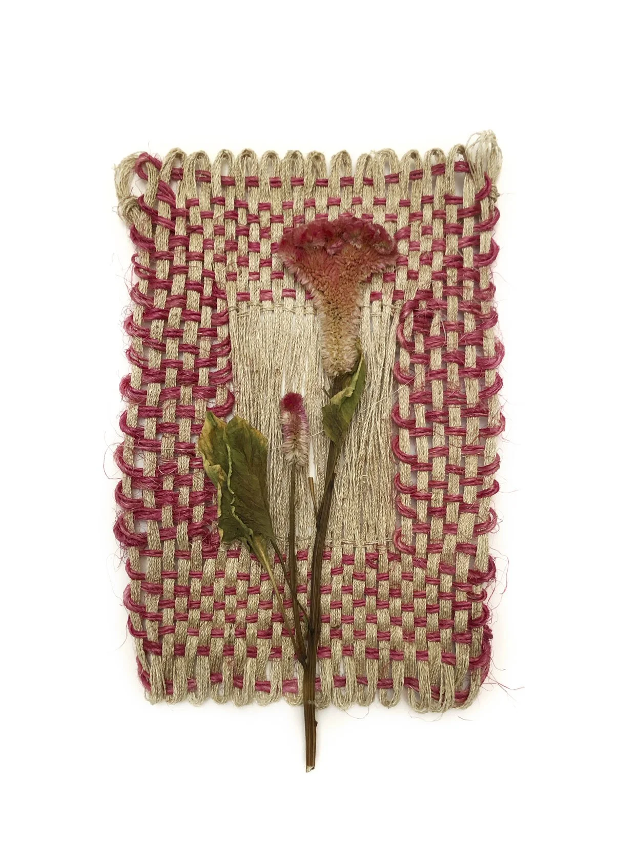 Saved For Web-245 PSD EDIT copy.jpg