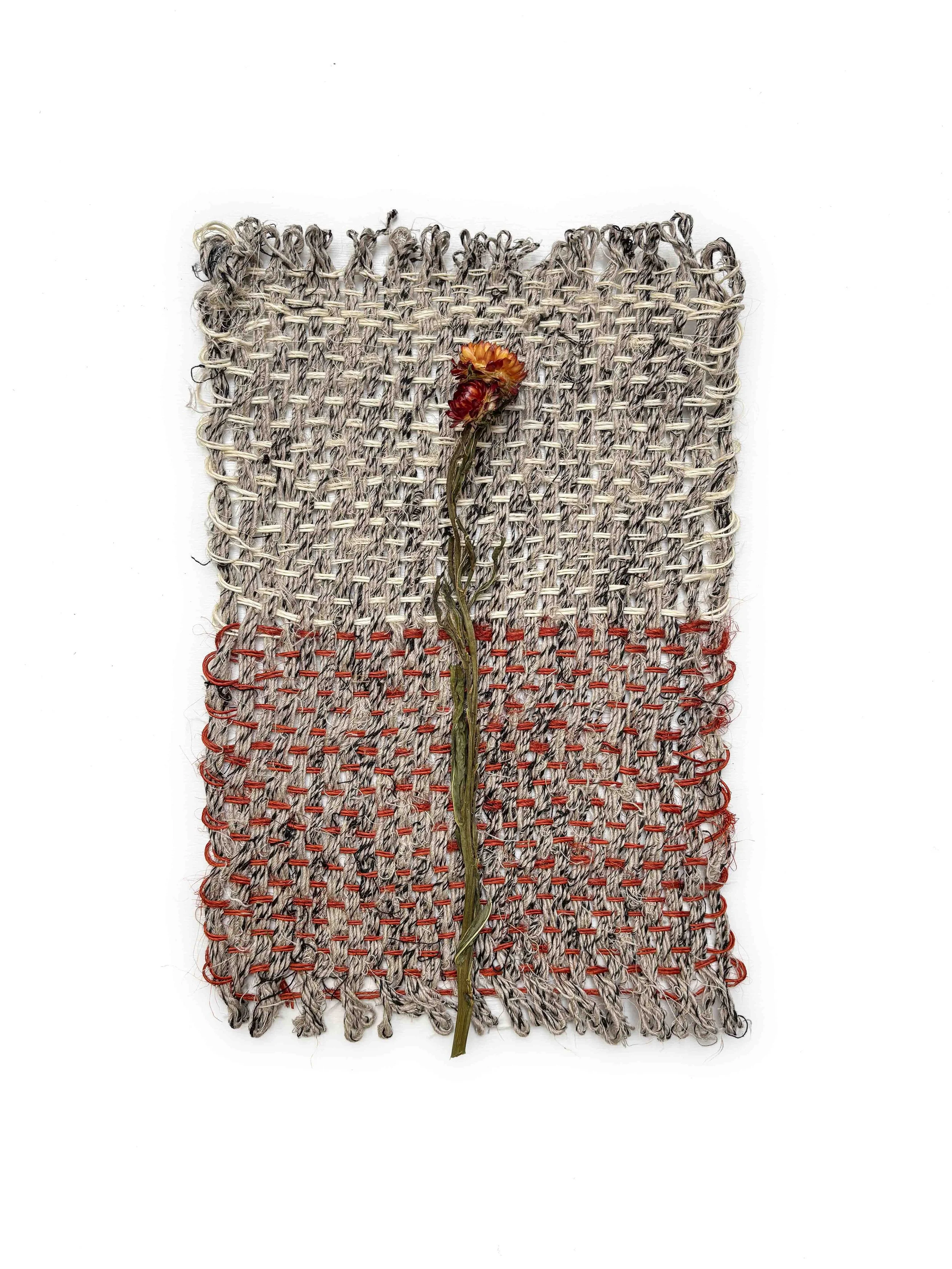 Saved For Web-328 PSD EDIT copy.jpg