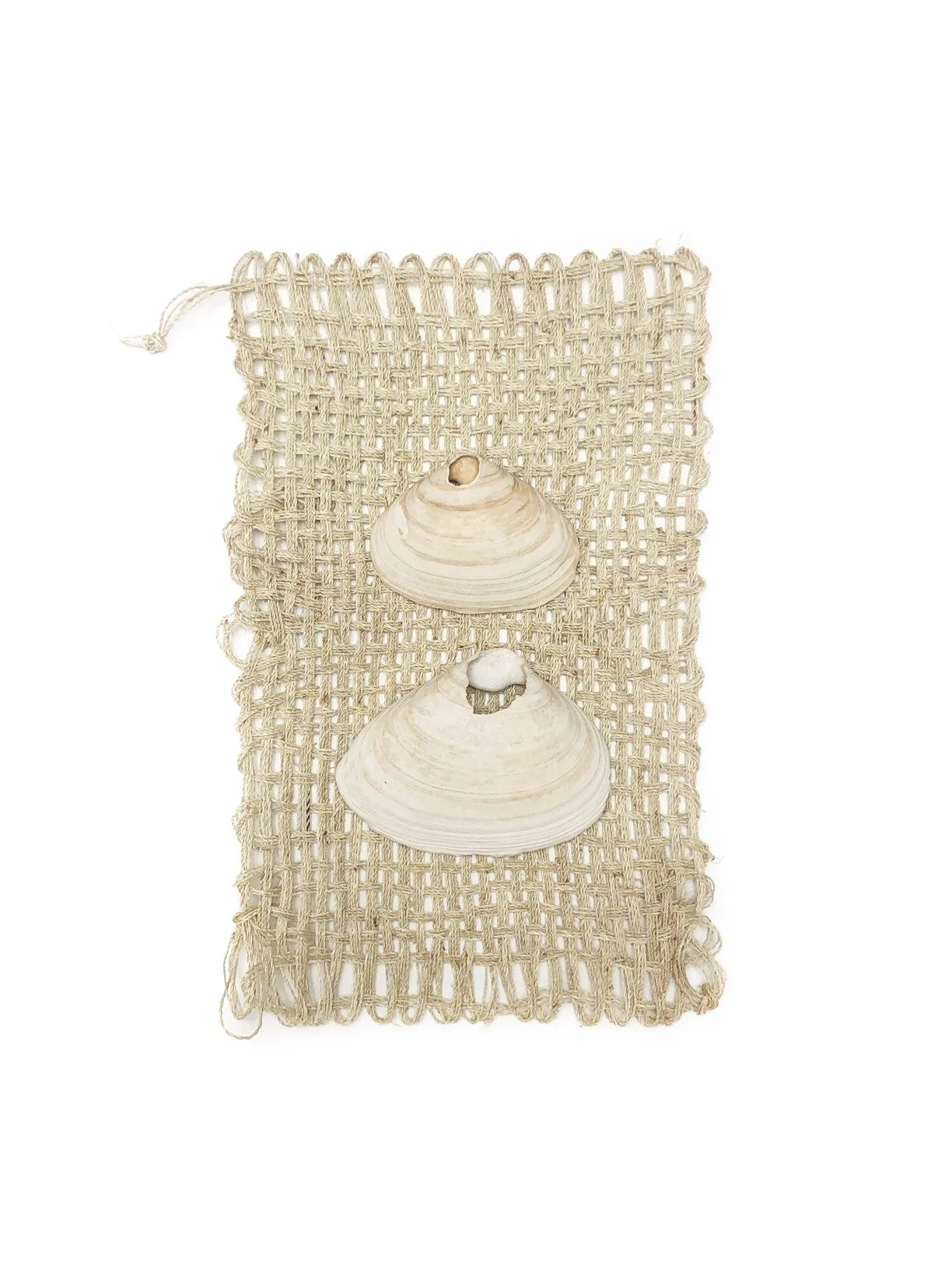 Saved For Web-294 PSD EDIT copy.jpg