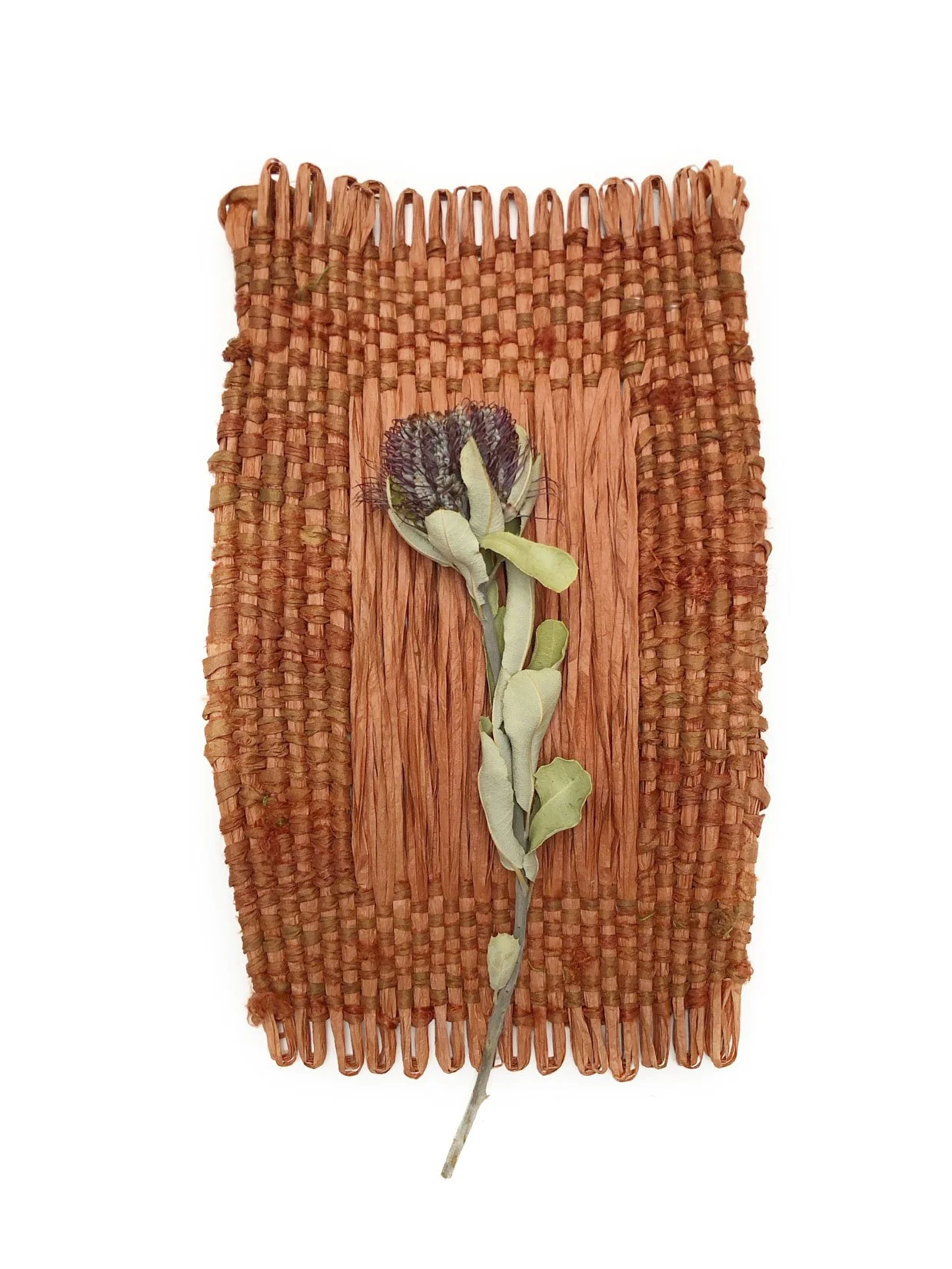 Saved For Web-281 PSD EDIT copy.jpg