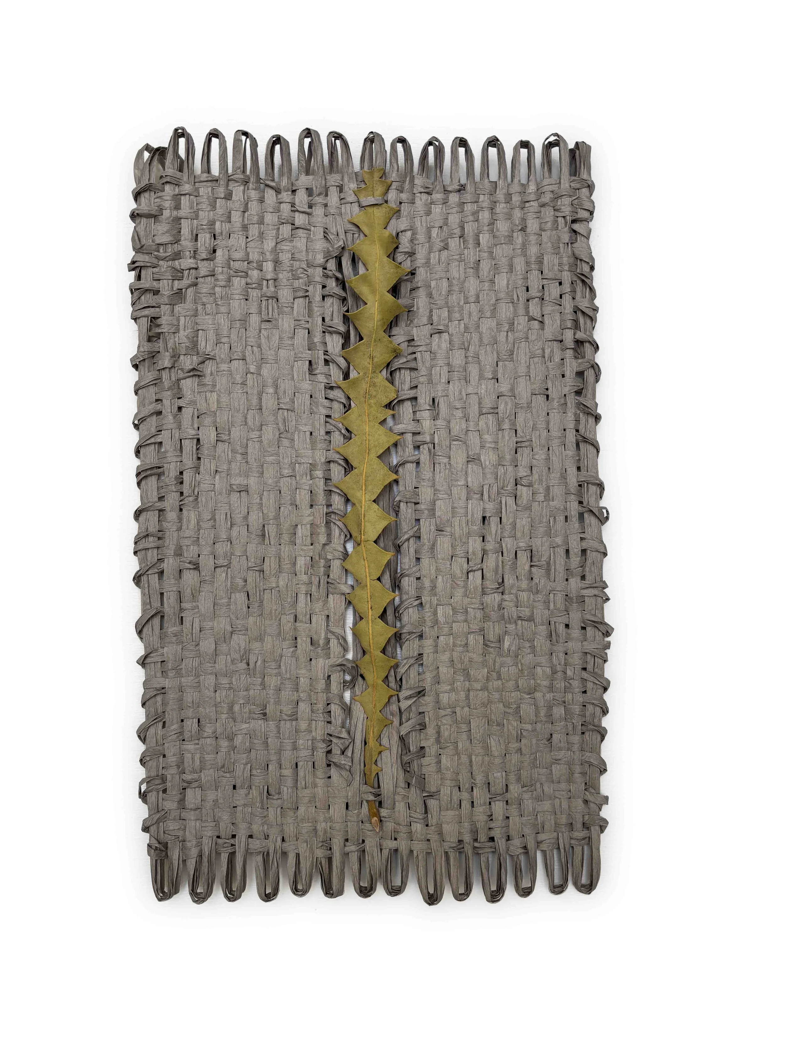 Saved For Web-277_rephotographed_raw PSD EDIT copy.jpg