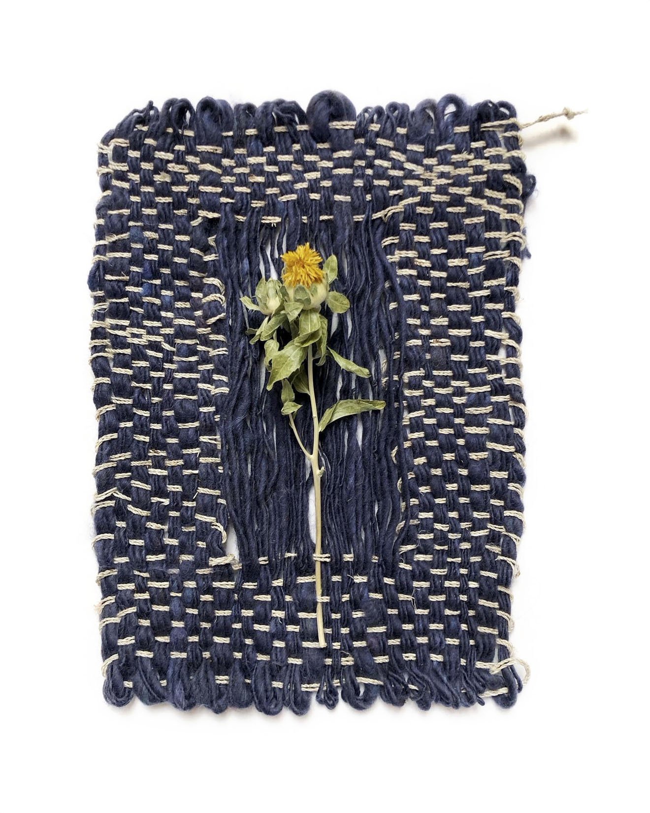 Saved For Web-301 PSD EDIT copy.jpg