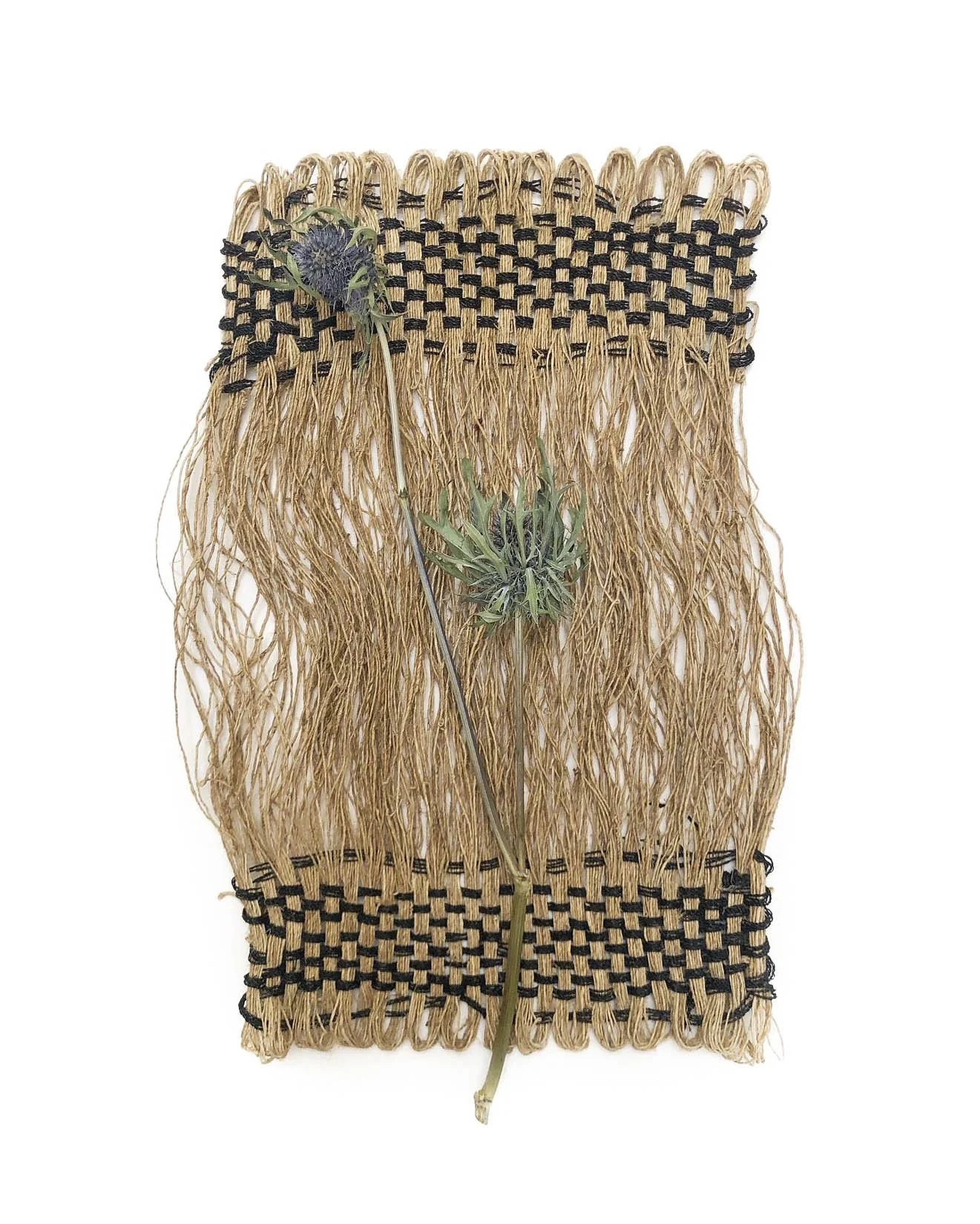 Saved For Web-253 copy.jpg