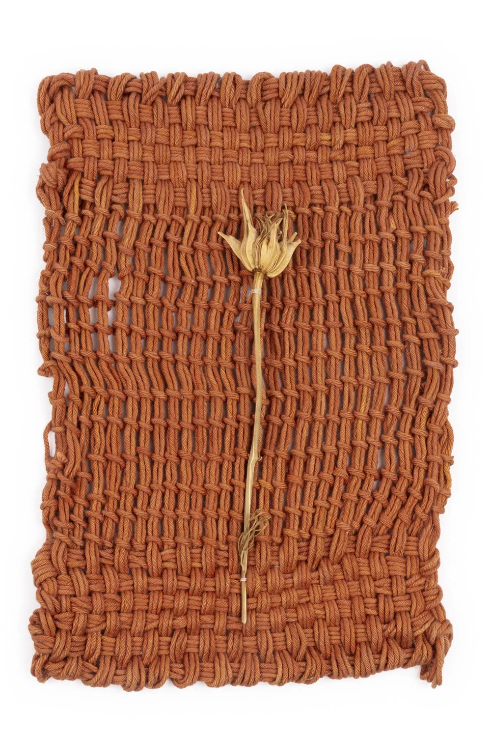 A Woven Year-231-Edit.jpg
