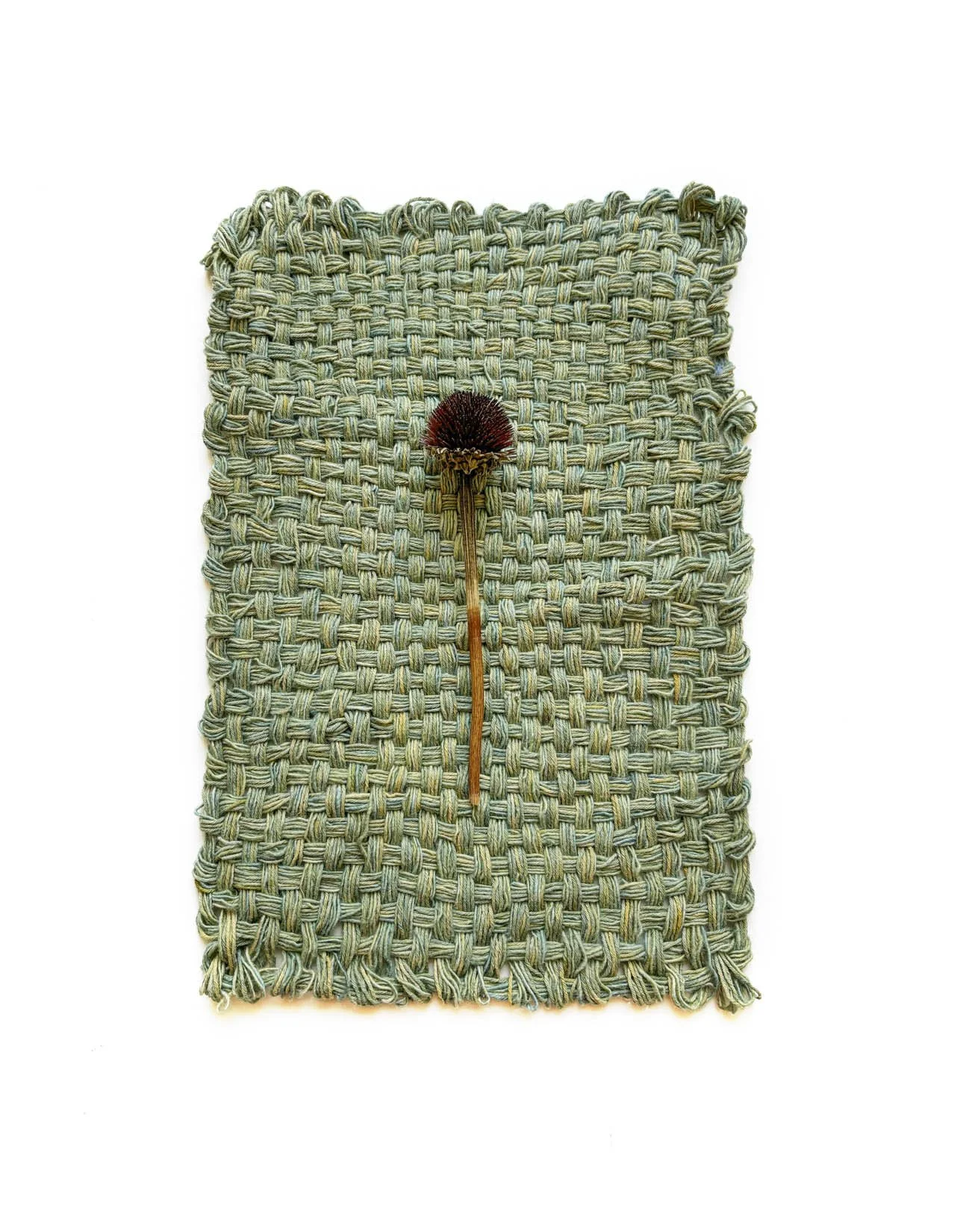 Saved For Web-305 PSD EDIT copy.jpg