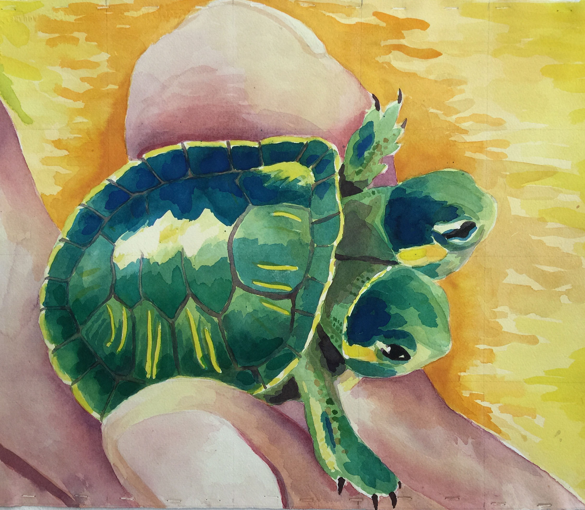 Two Headed Turtle Watercolor.jpg