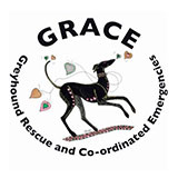 Grace Greyhound Rescue