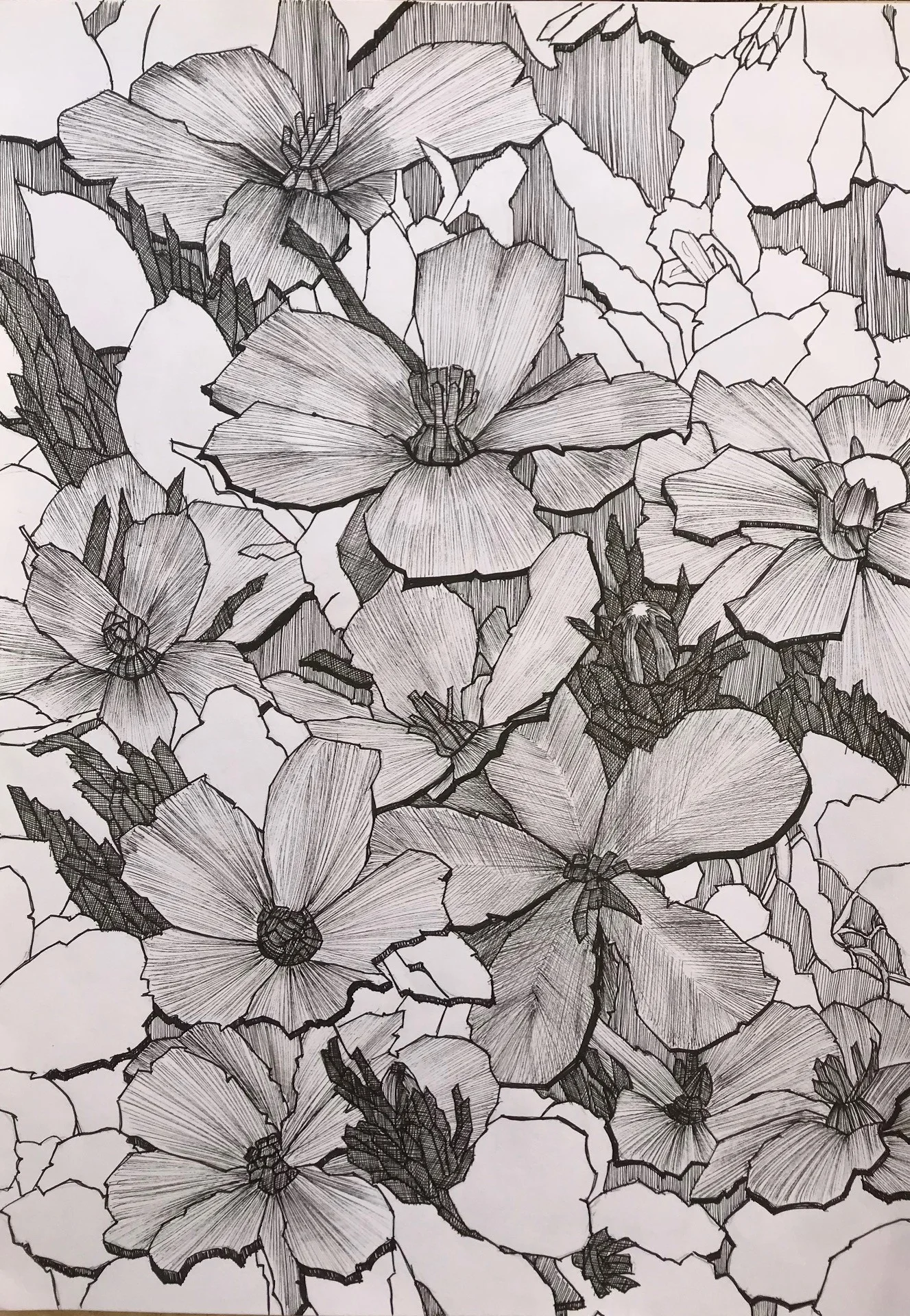 To Draw Or Not To Draw I