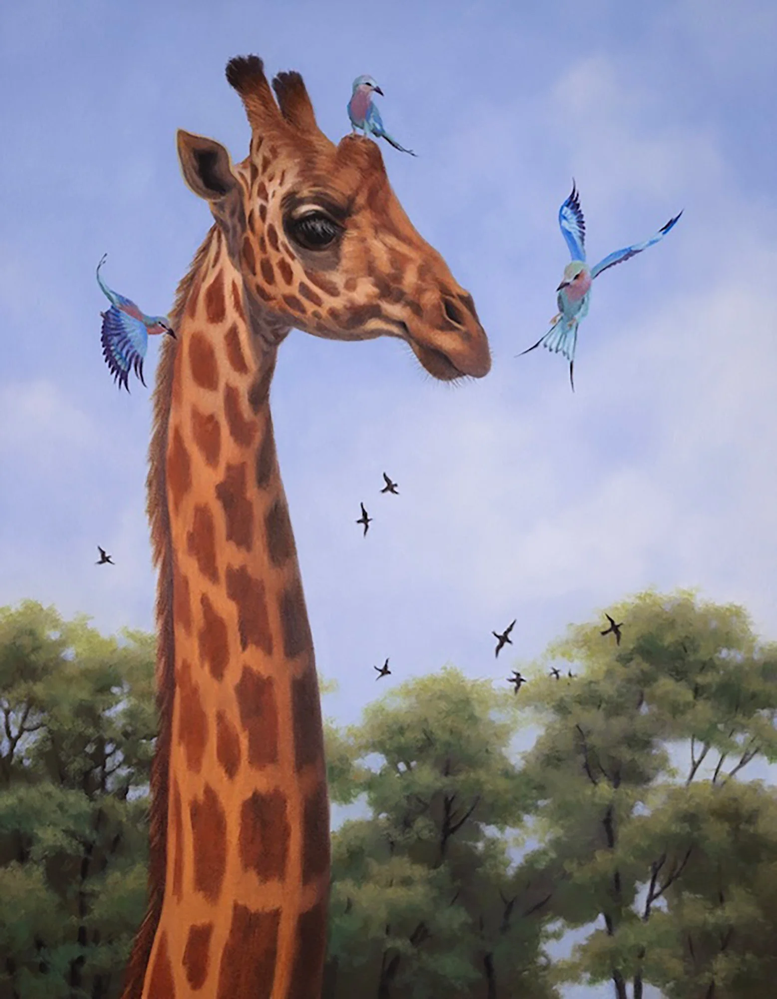 Giraffe