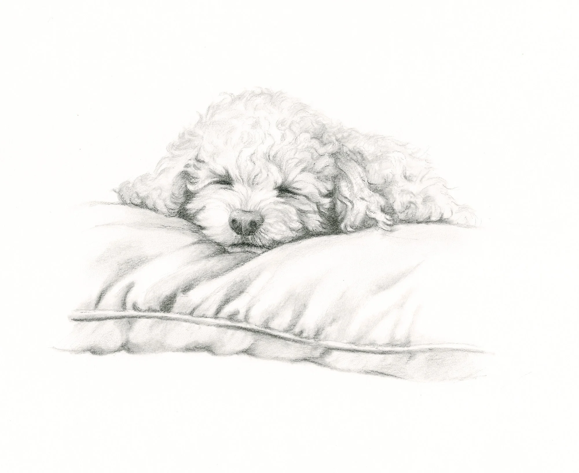 Lilly sleeping