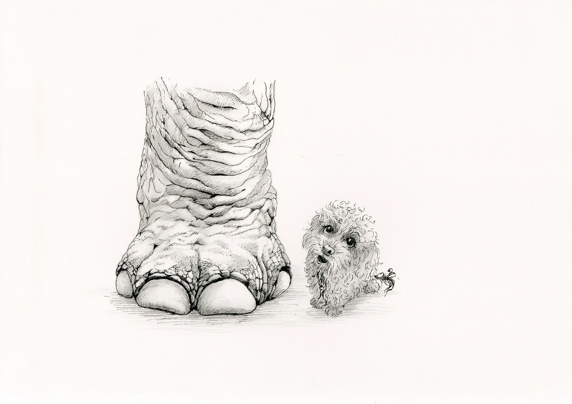 Big animals