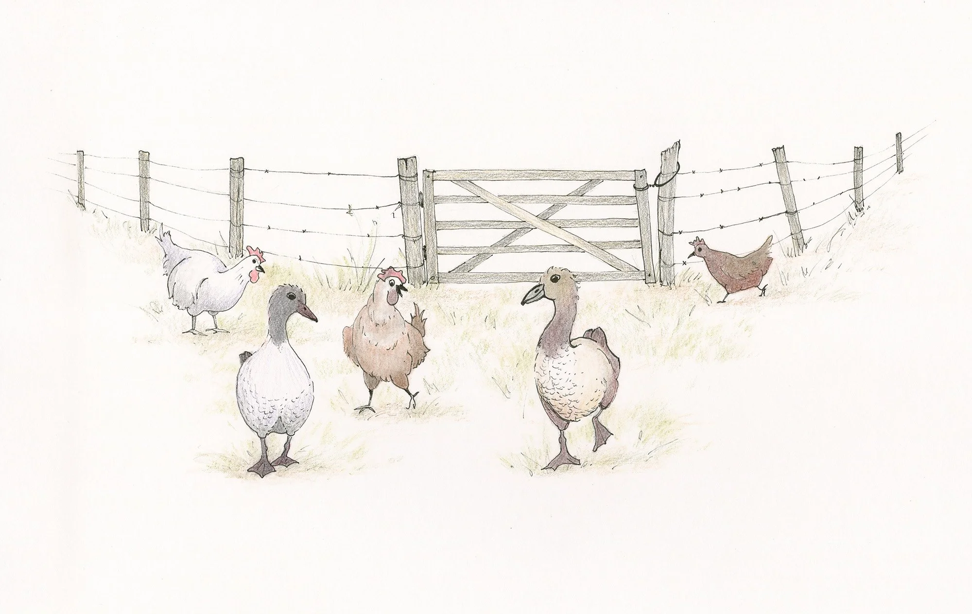 Farm animals