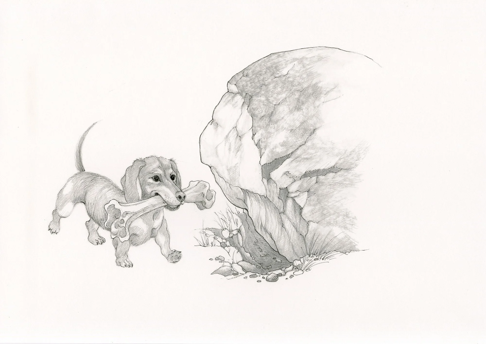 Max with bone