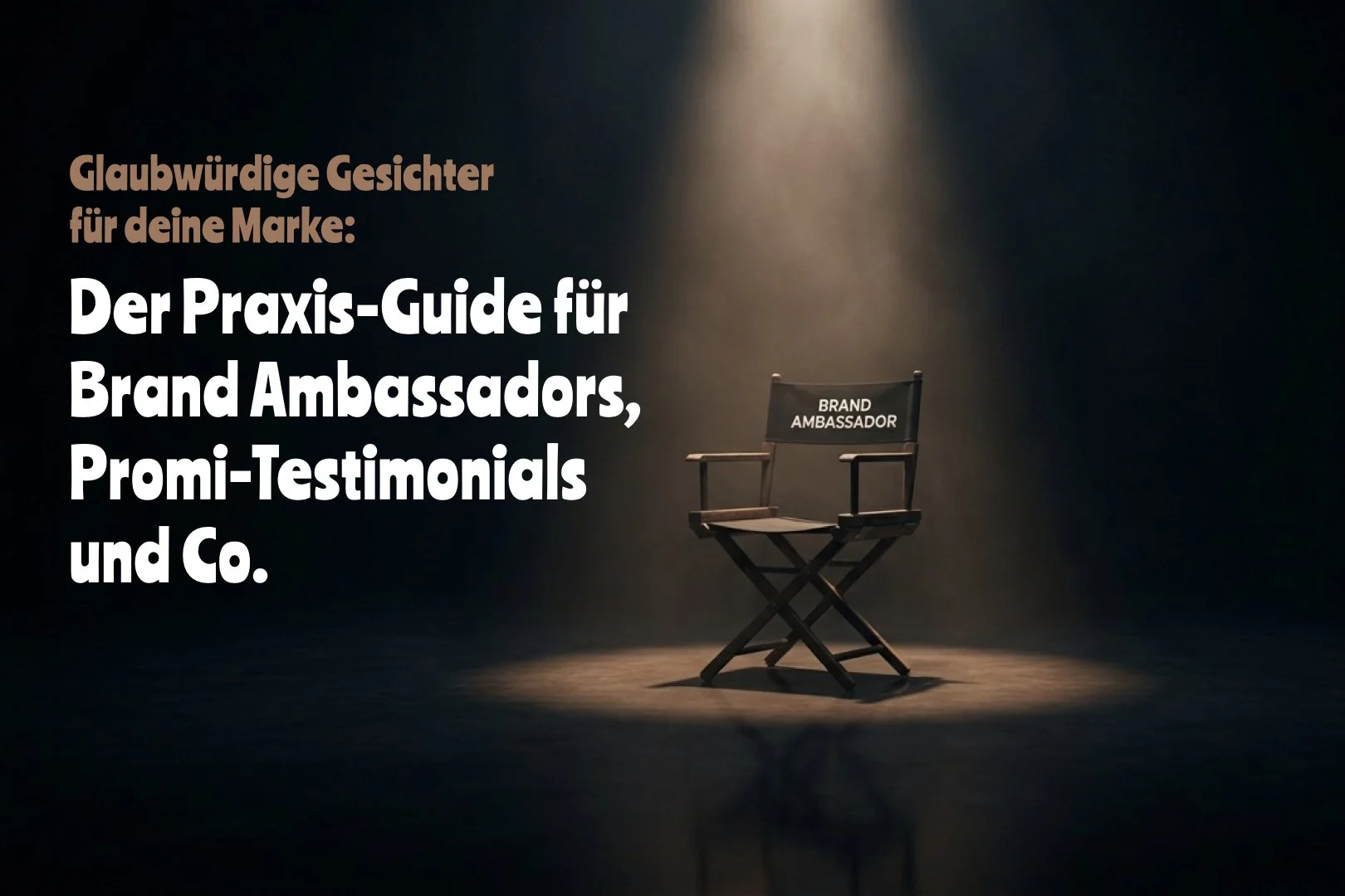 Glaubwürdige Gesichter für deine Marke – Der Praxis-Guide für Brand Ambassadors, Promi-Testimonials und Co.