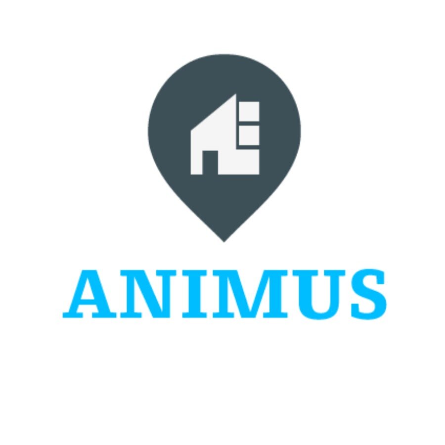 animus.jpg