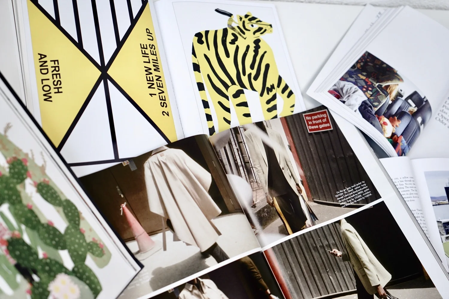 karlie-visual-trends-2019.jpg