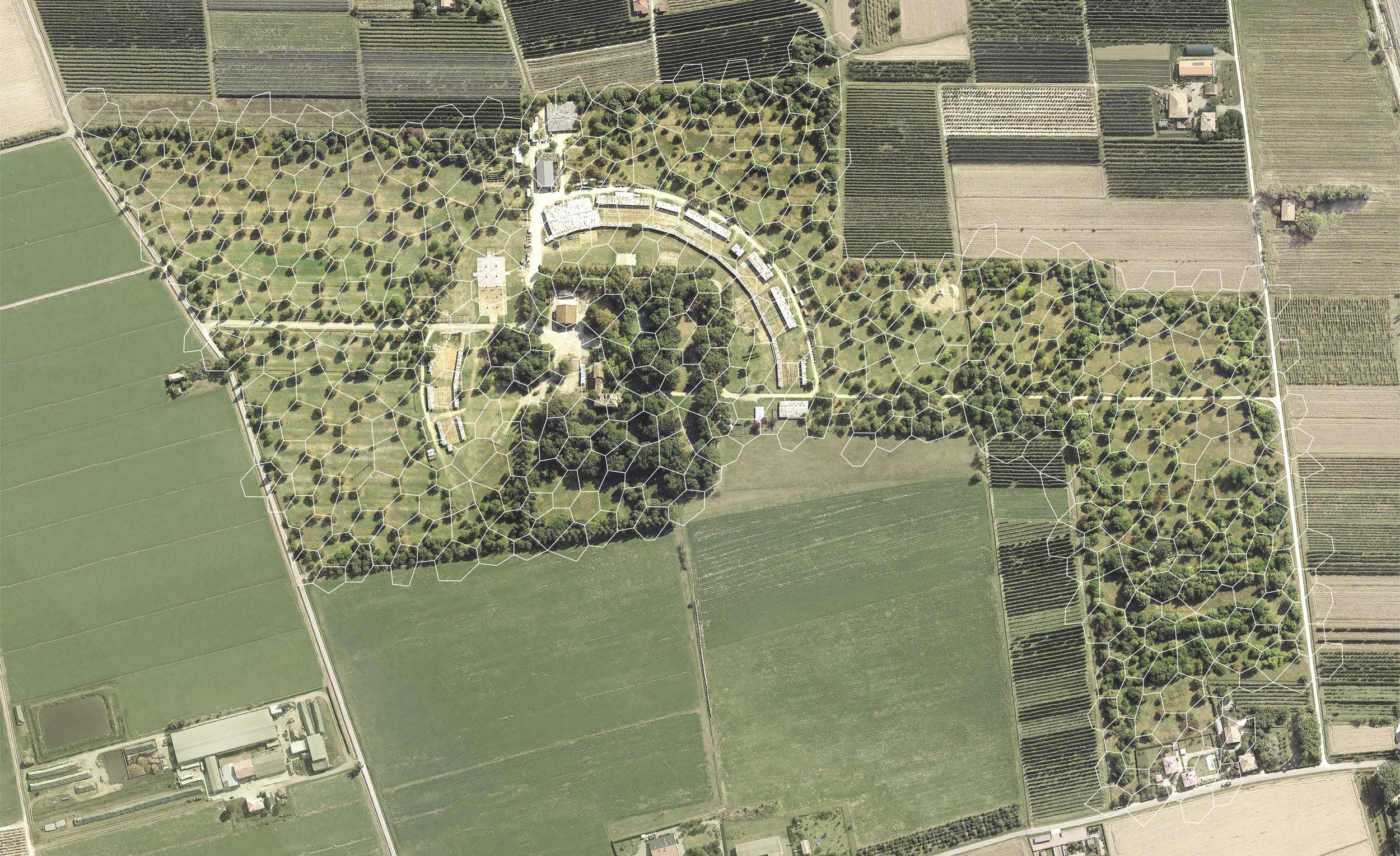Bosco Albergati , Castelfranco Emilia - Modena, 1988