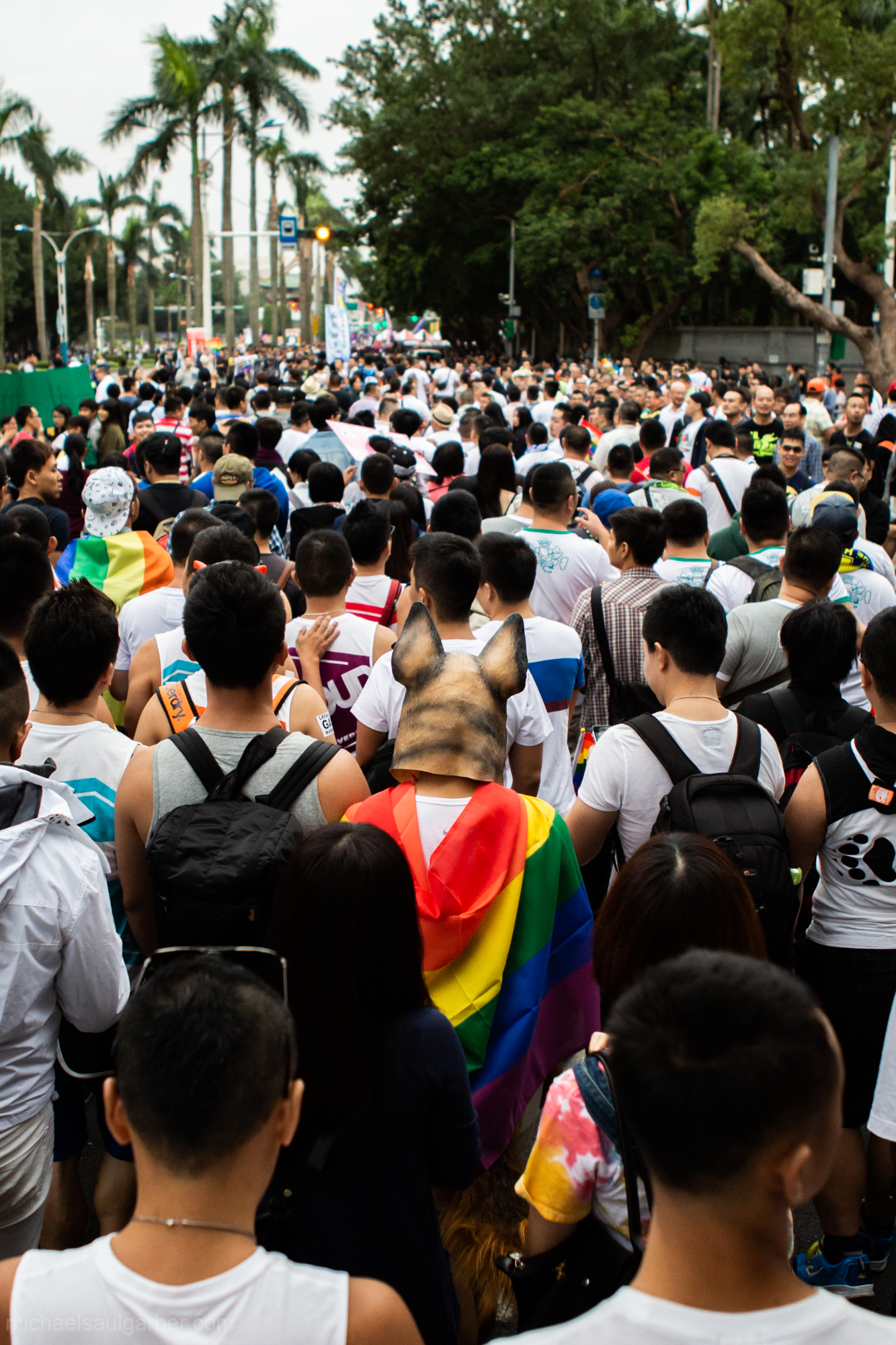 After the Sunflower movement of 2014, youth activism in Taiwan became supercharged, Taiwan Pride,2015