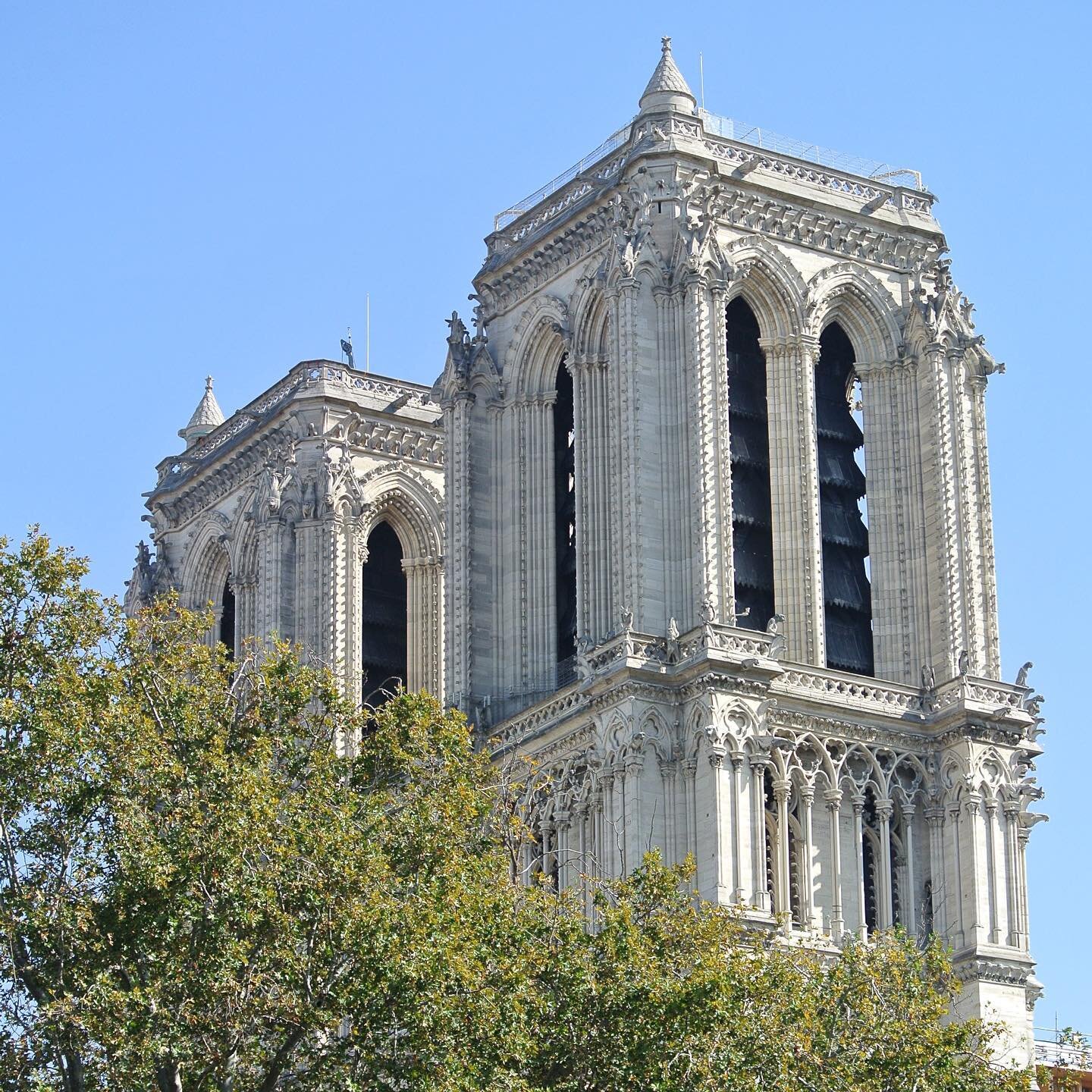 Cathedrale-Notre-Dame-de-Paris-Restoration-Parisology.jpg