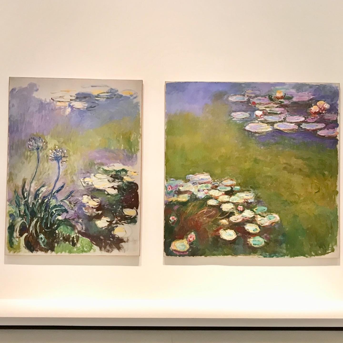 Monet-Waterlilies-Expo.jpg