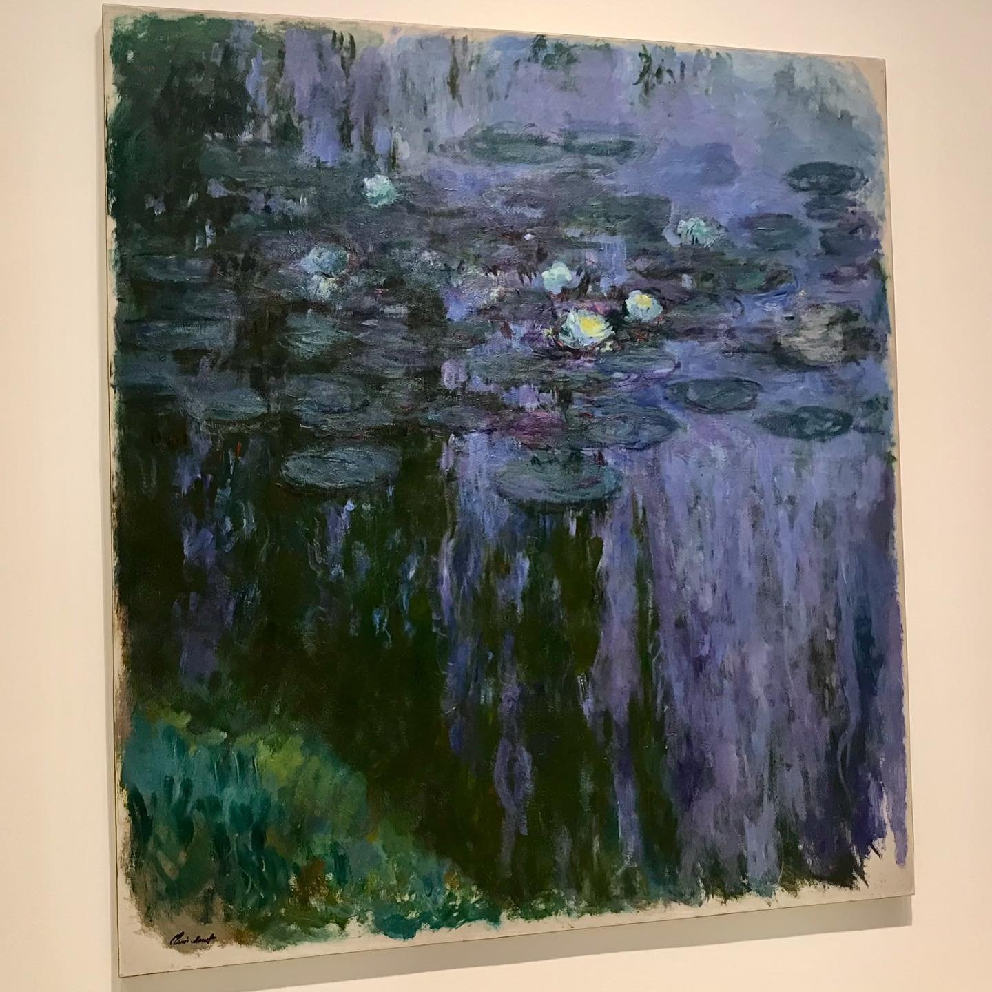 Monet-Waterlilies.jpg