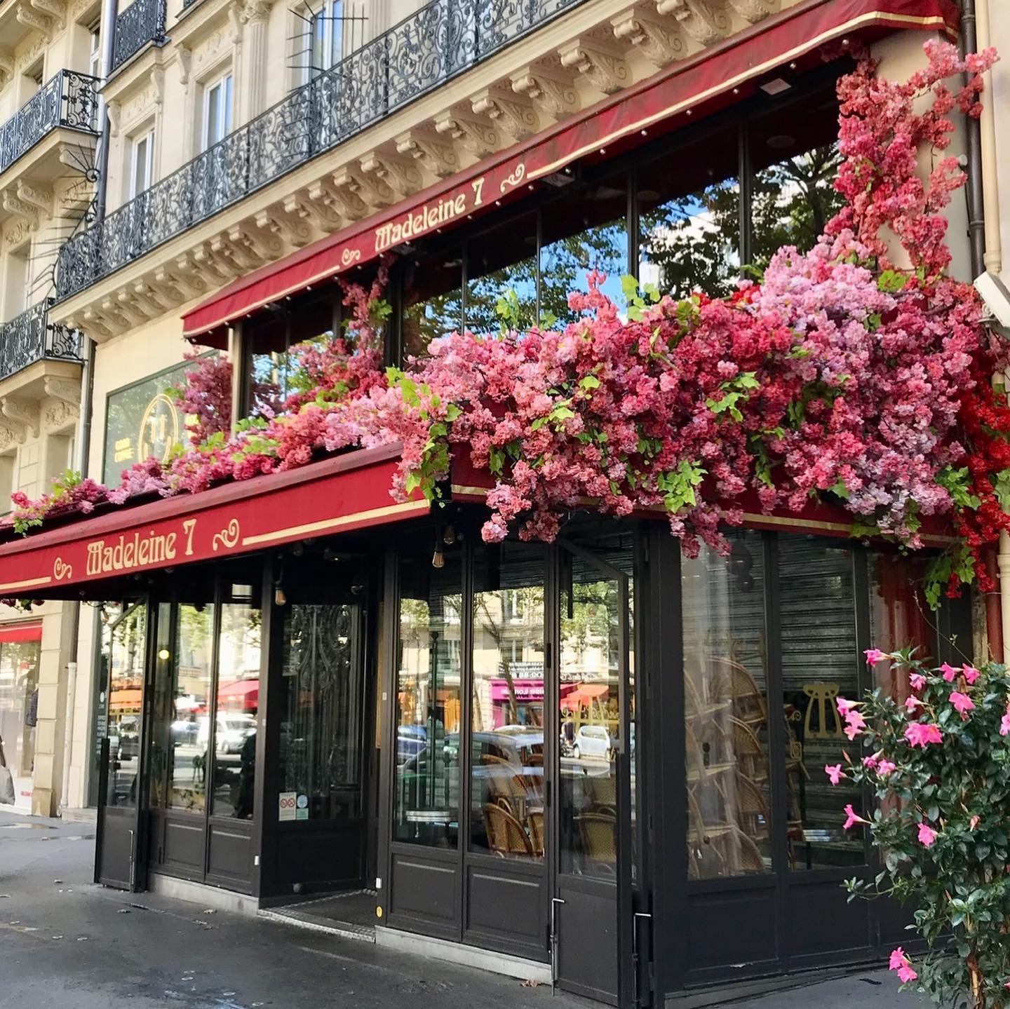 Paris-Café-Madeleine.jpg.jpg