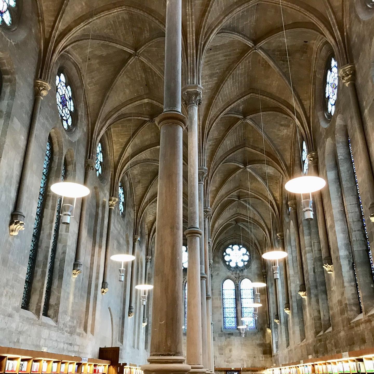 Gothic-Architecture-Paris-Library.jpg.jpg