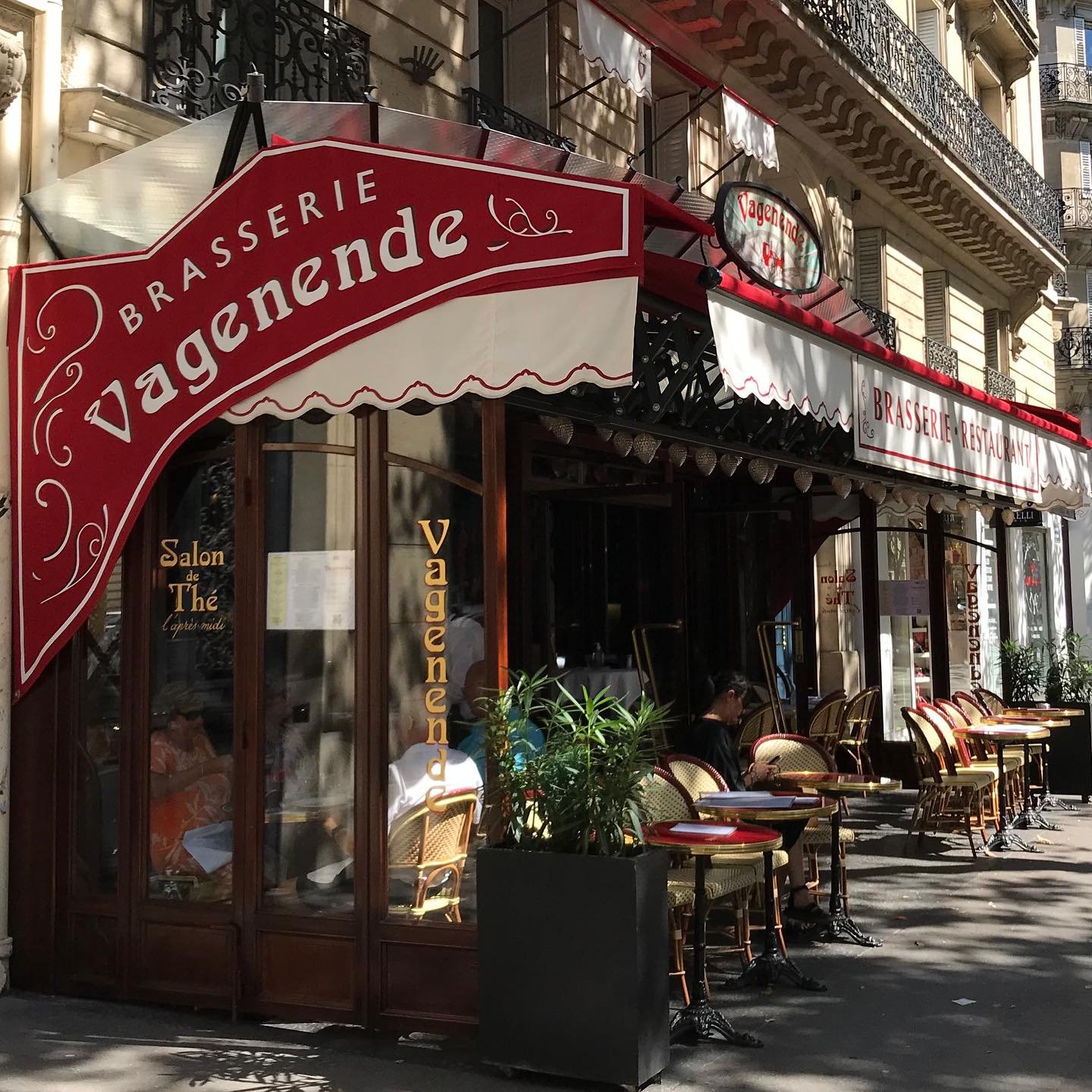 Vagenende-Brasserie-Awning-Paris.jpg.jpg