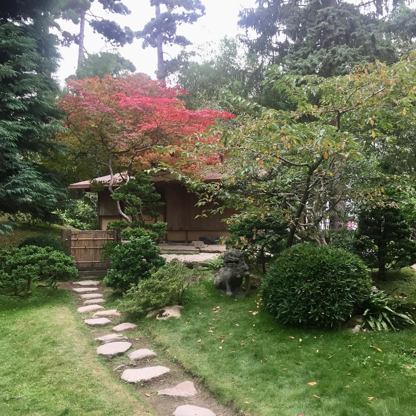 Albert-Kahn-Japanese-Gardens.jpg.jpg
