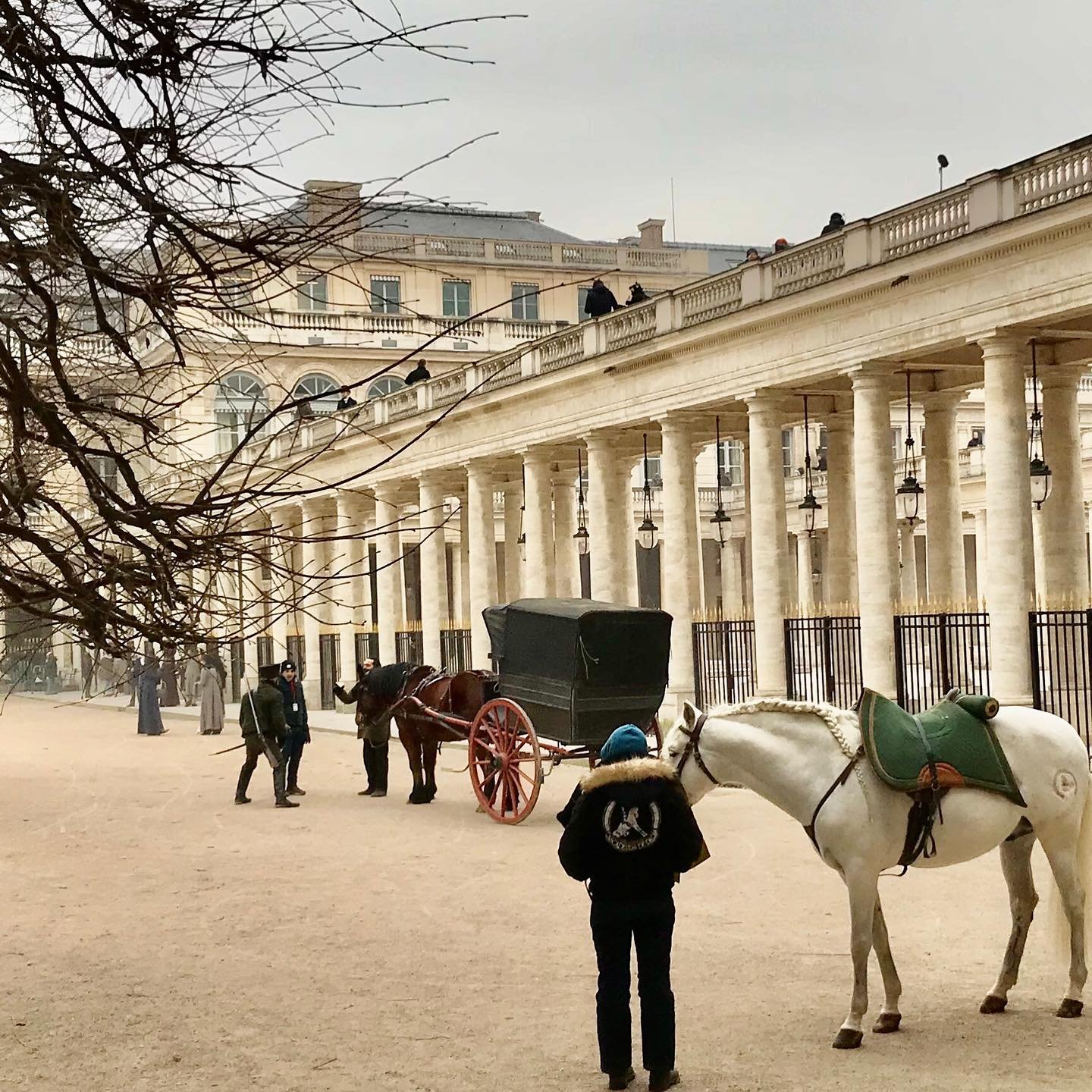 Palais-Royal-Series-Shooting.jpg.jpg