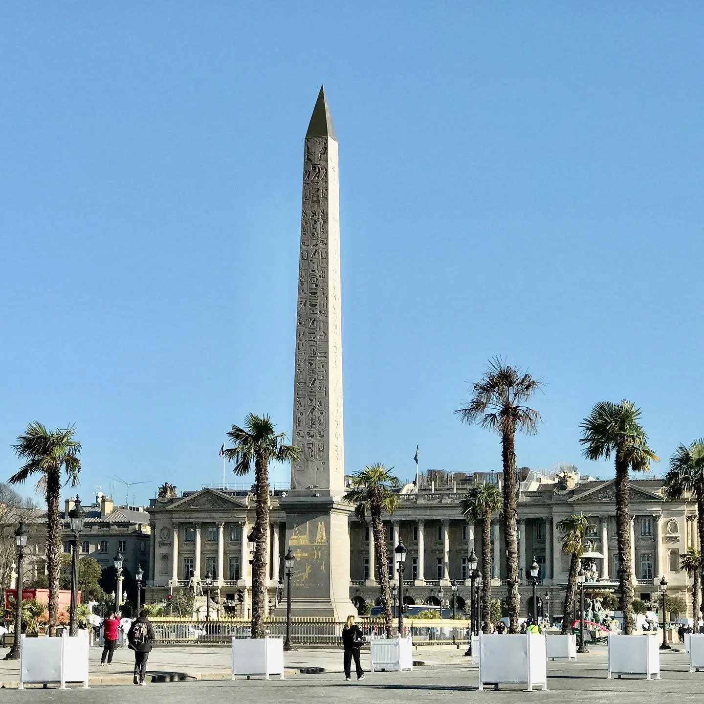 Palm-Trees-Place-de-la-Concorde.jpg