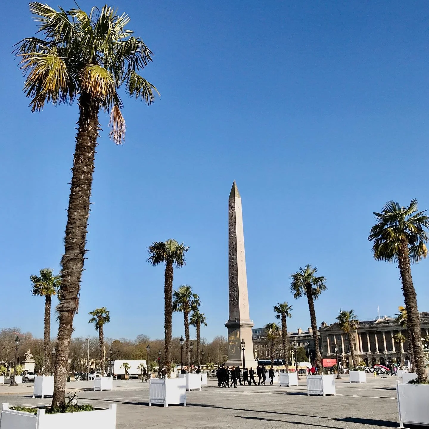 Place-de-la-Concorde-Palm-Trees.jpg