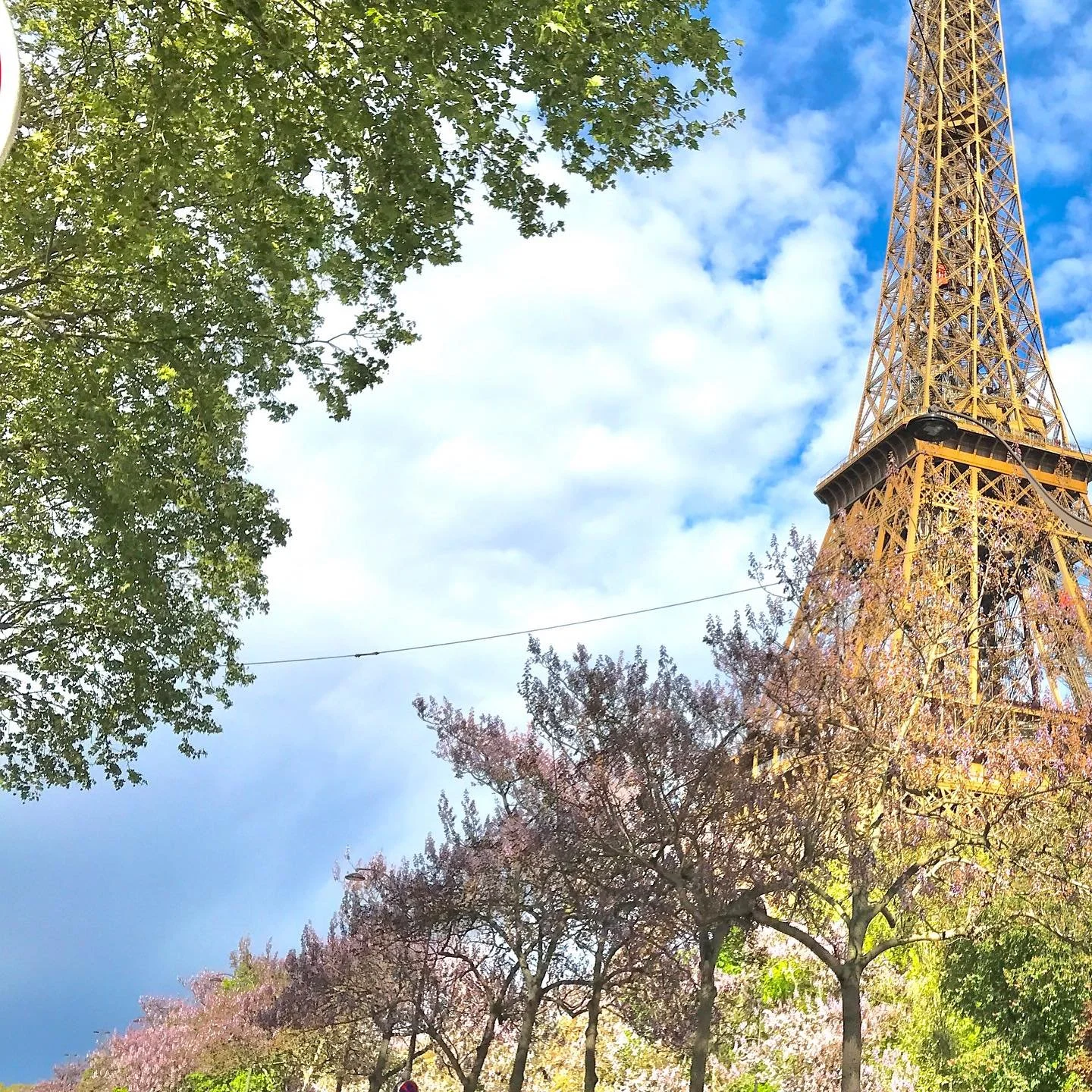 Eiffel-Tower-Cherry-Blossom-Trees.jpg