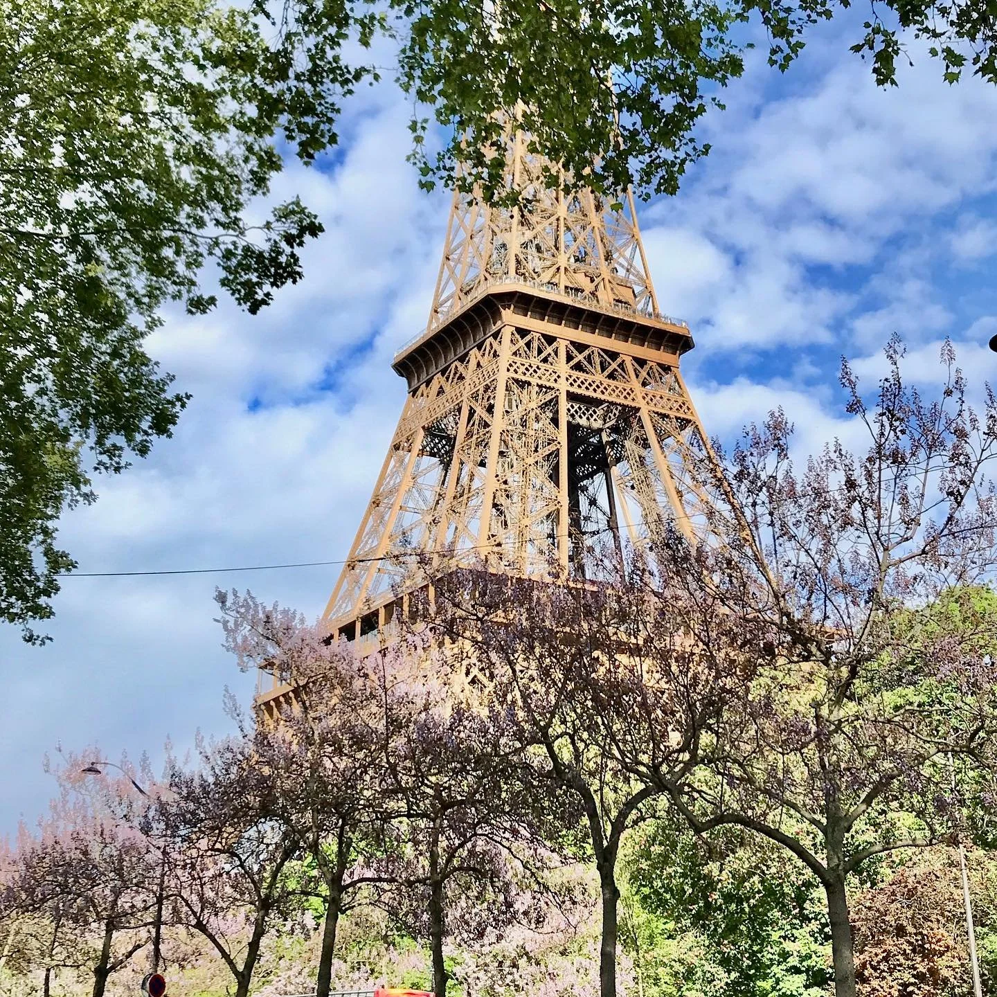 Eiffel-Tower-Sakura-Cherry-Blossom-Trees.jpg