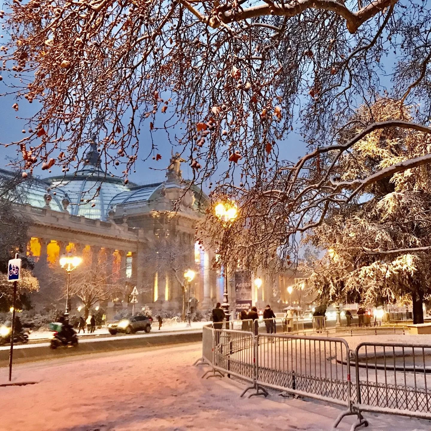 Paris-Snow-Grand-Palais.jpg