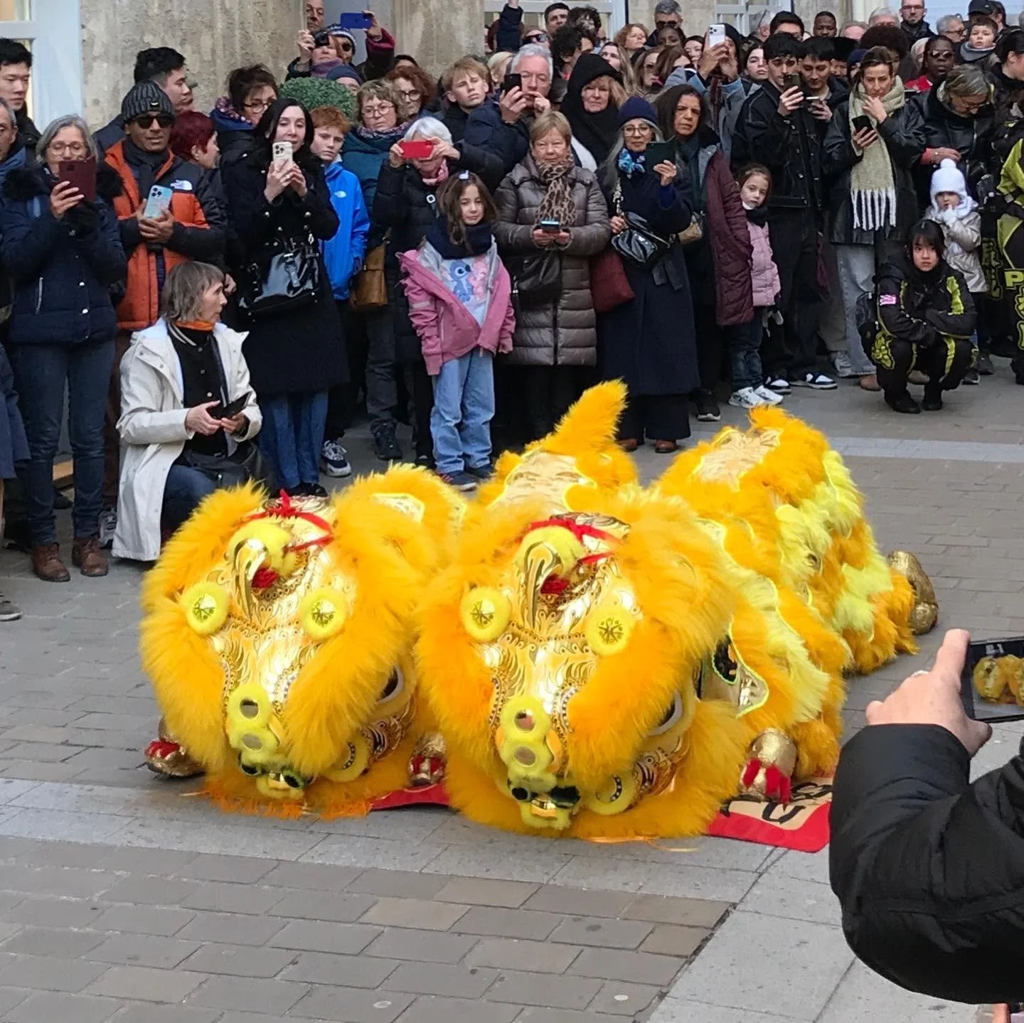 Paris-Chinese-New-Year-Celebration.jpg