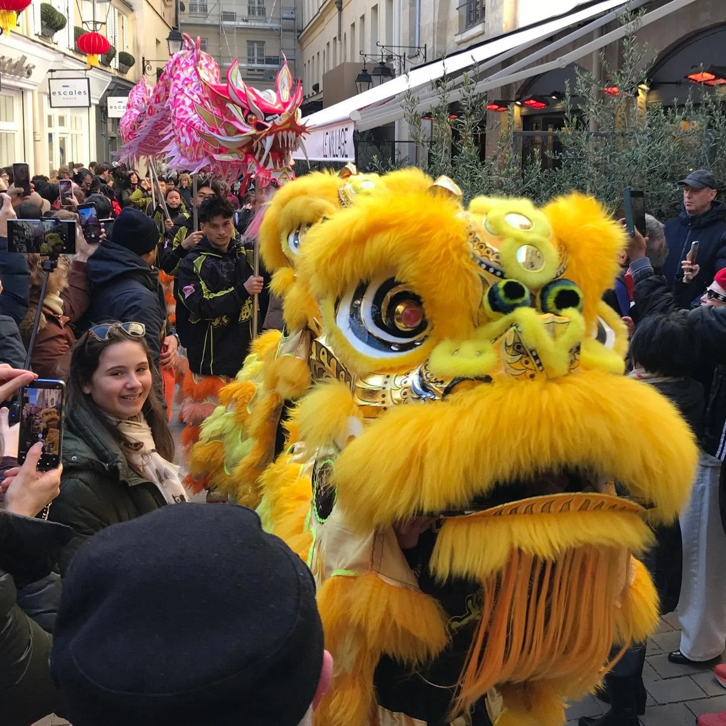 Paris-Chinese-New-Year-Horse.jpg
