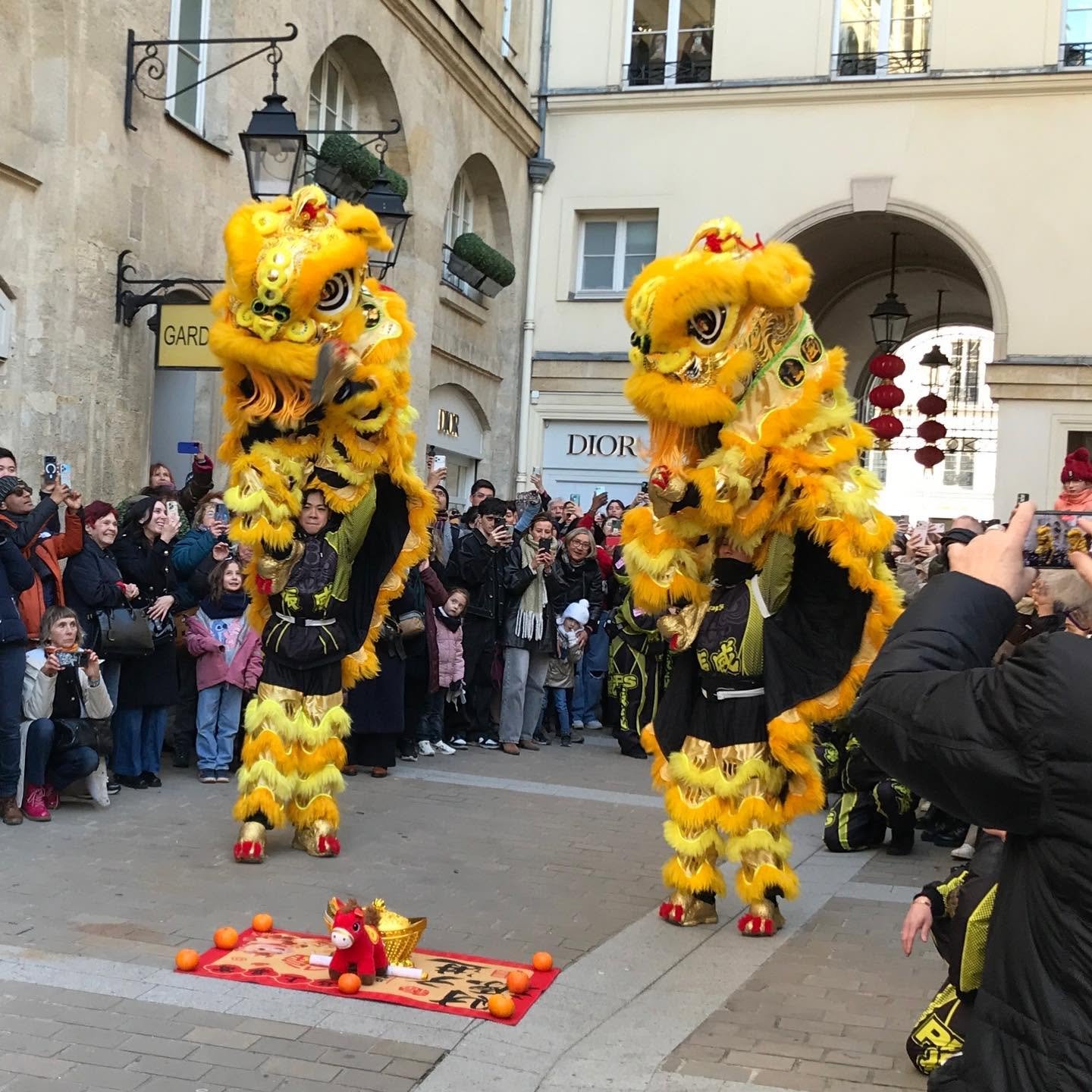 Paris-Chinese-New-Year-Lions.jpg