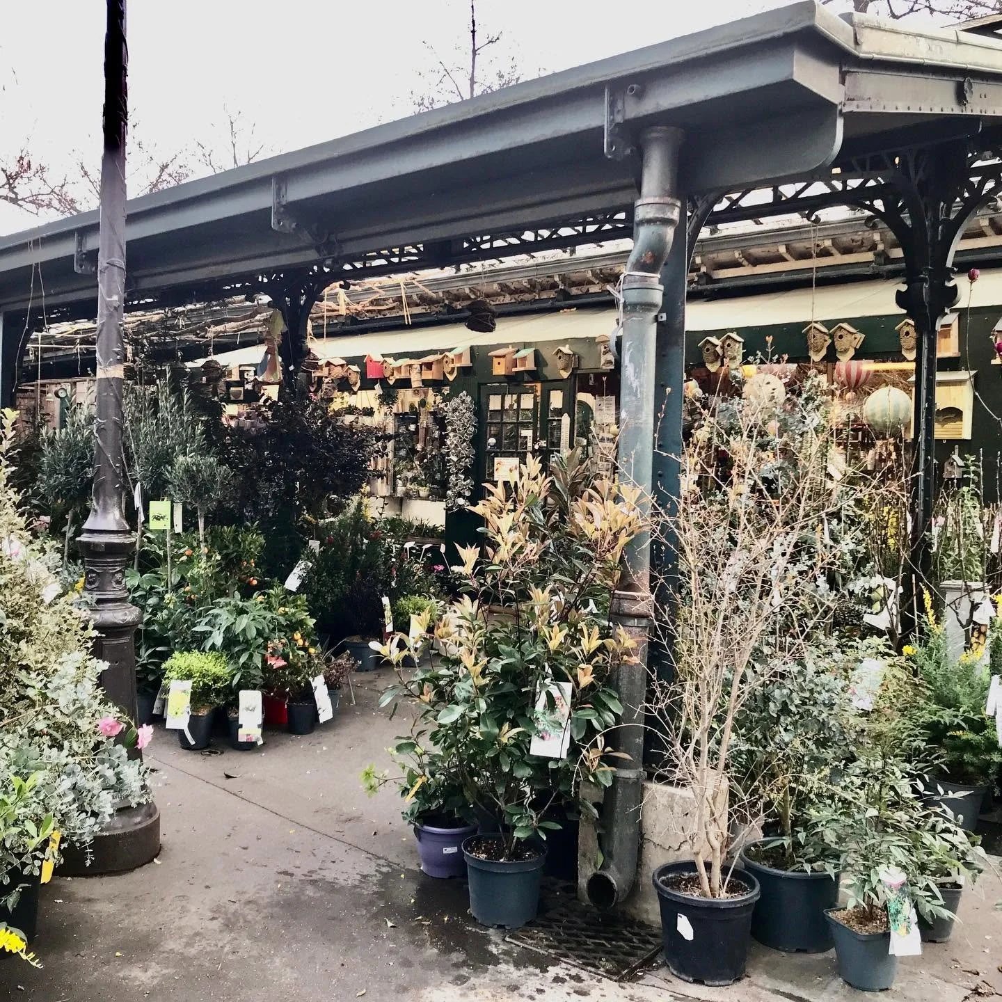 Paris-Birds-Market.jpg