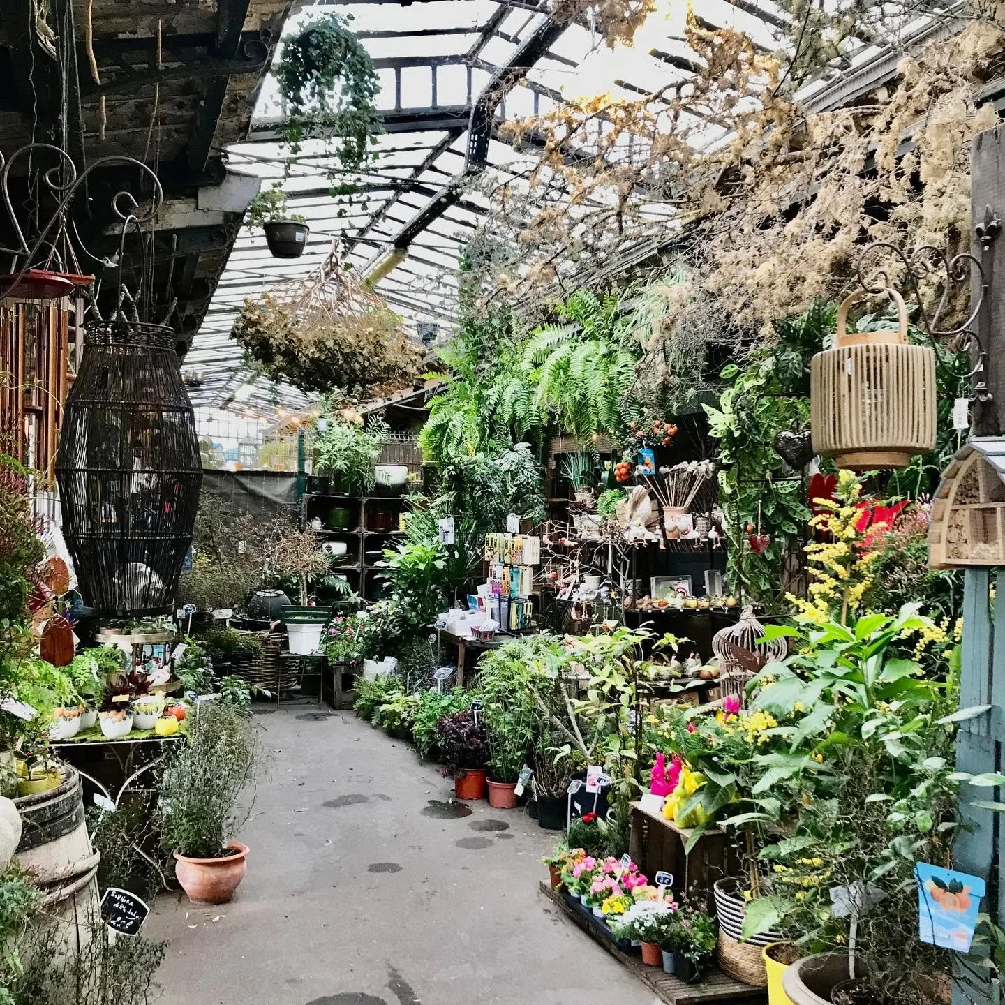 Paris-Flower-Market.jpg