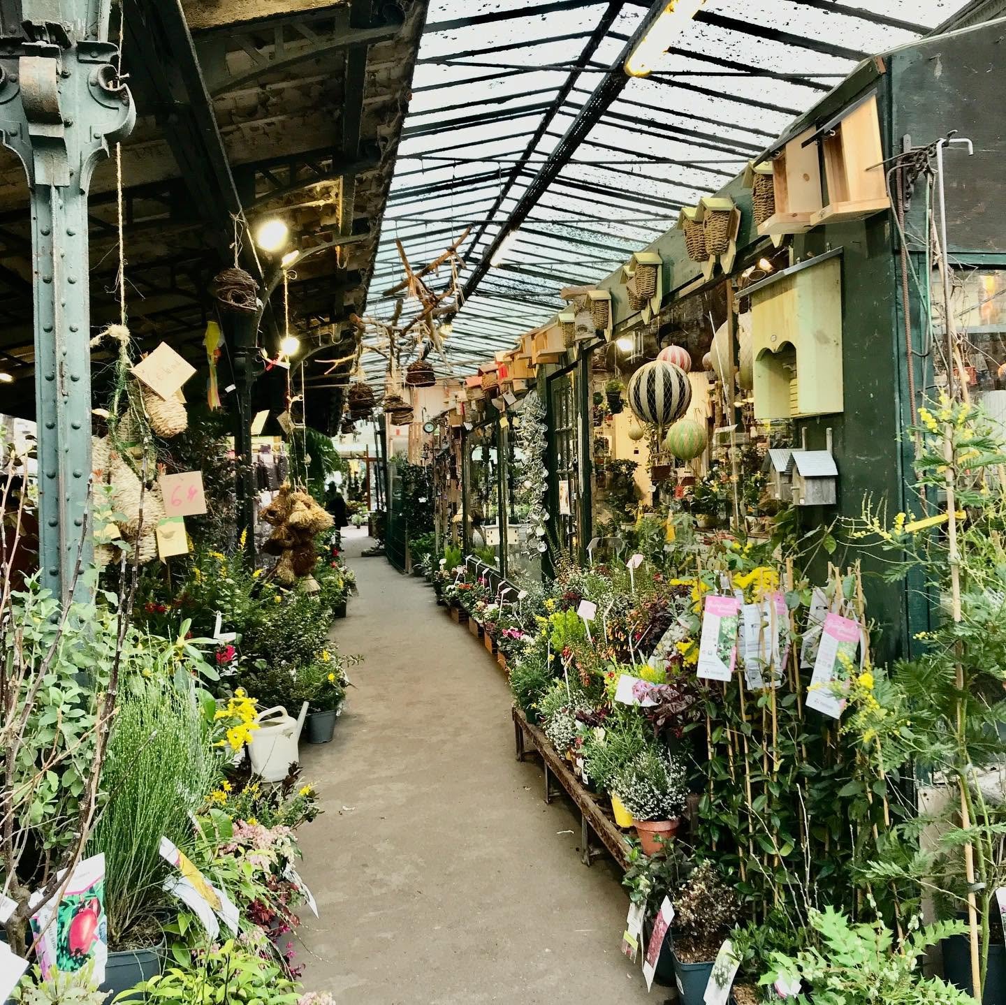 Paris-Marche-aux-Fleurs.jpg